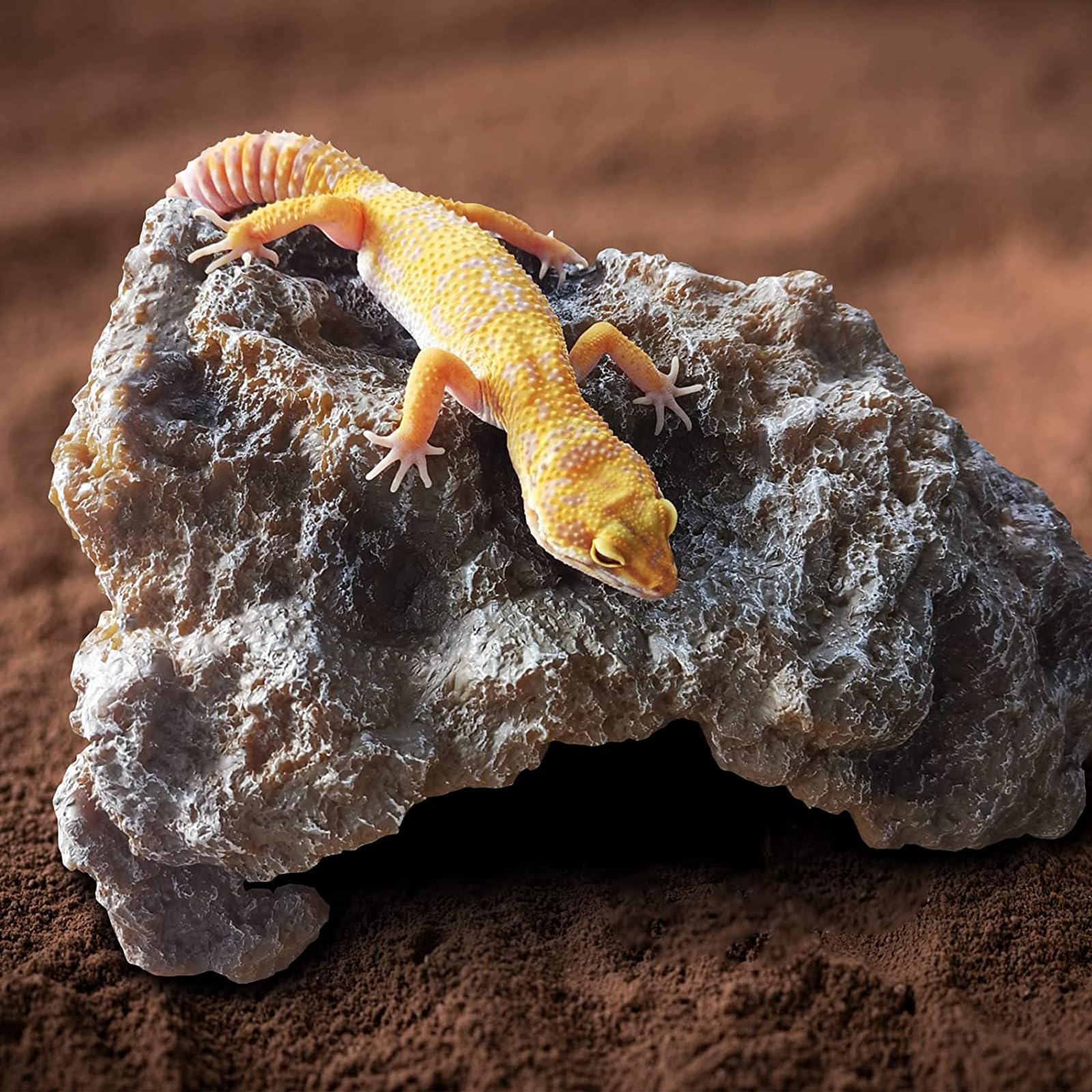 Reptil Roca Reptile Hide Cueva Hideout Terrario Hábitat Decoración Ornamento Refugio para Serpiente Geckos Lagartos Tortuga Ranas Anfibios Ermitaño Cangrejo Medio