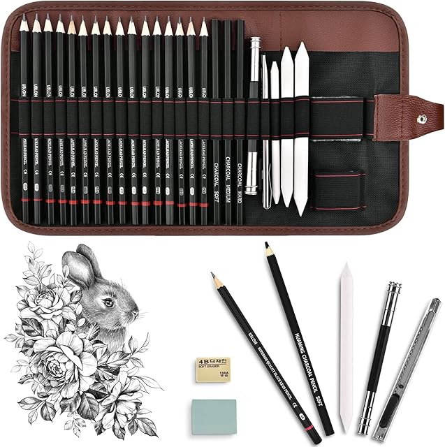 Professional 27 Pcs Sketching Pencils Set, Drawing Art Pencils with Eraser Extender Canvas Pencil Case 3H HB 2B 4B 6B 8B for Sketch Artist Beginners Kids Adults Everyday Office Use