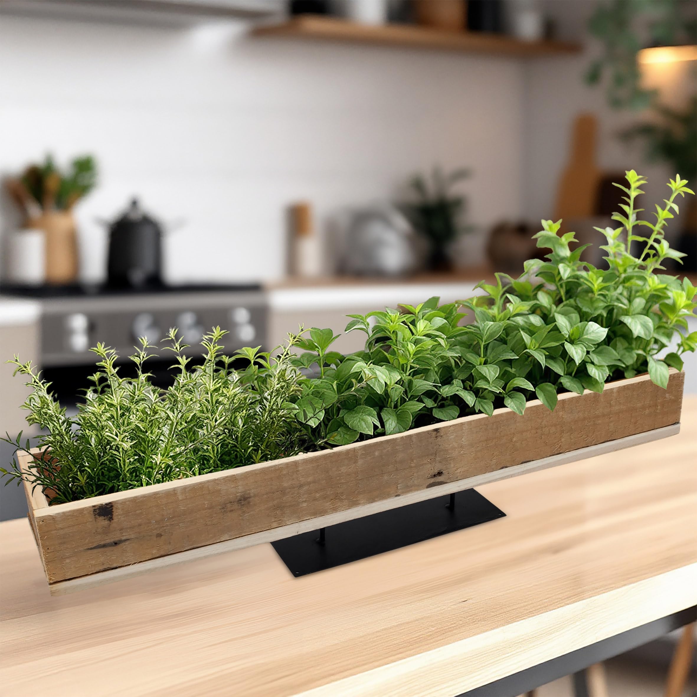 Spetebo Jardinera de madera natural con lámina – 70 x 13 cm – Jardinera grande para plantar directamente – Jardinera decorativa para jardín, bandeja para plantas, bandeja decorativa para plantas