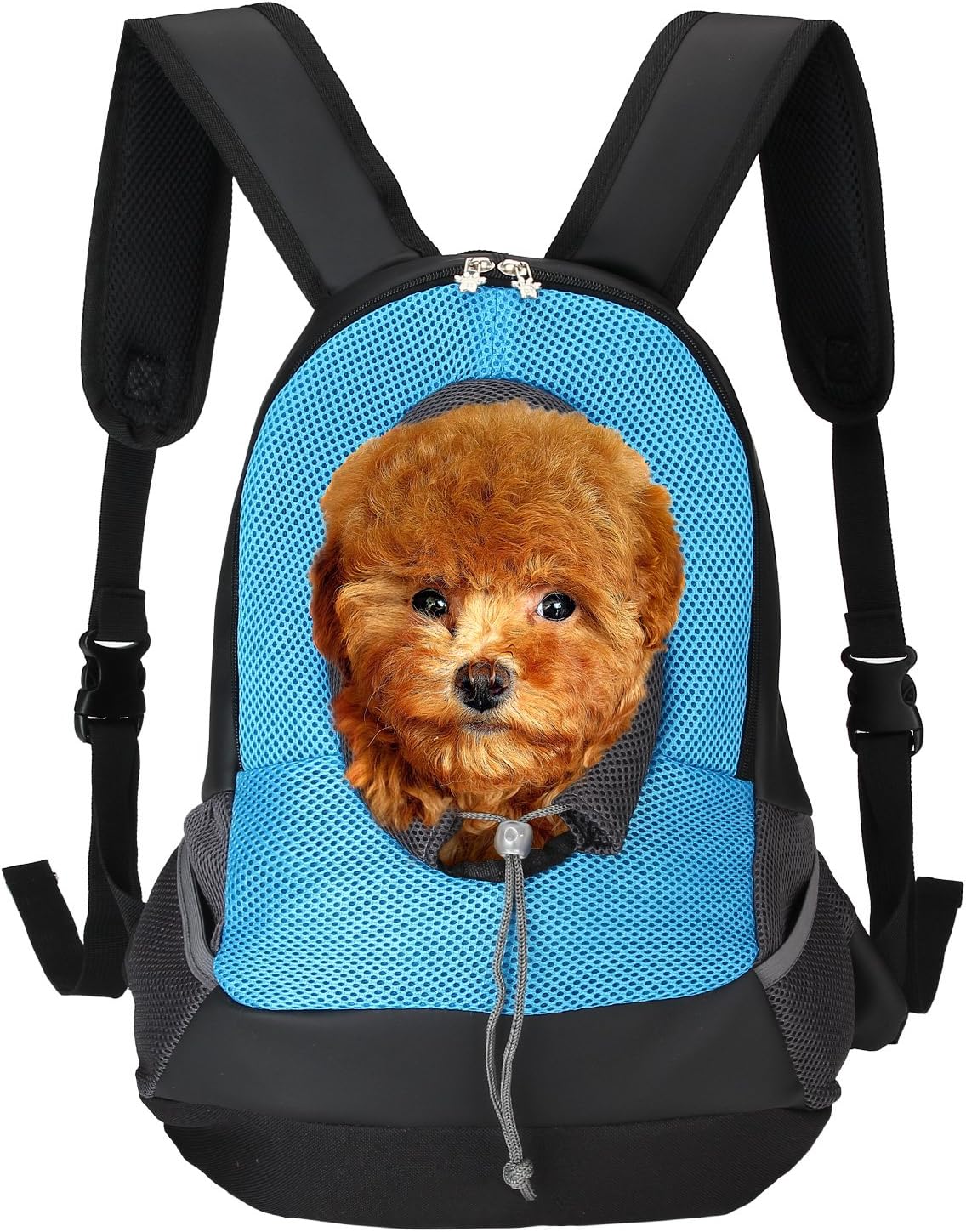 ITERY Pet Carrier, Back Front Pack Dog Cat Travel Bag Pet Mesh Backpack Head Out Design Padded Adjustable Shoulder Strap for 5lb-6lb Pets