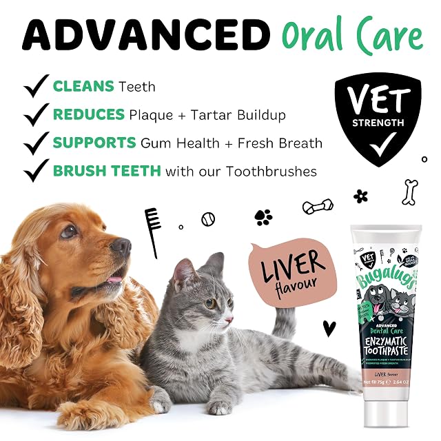 Foto 6 de 8 de Bugalugs Kit de cepillo de dientes y pasta para perros y gatos, limpieza de dientes y ambientador del aliento