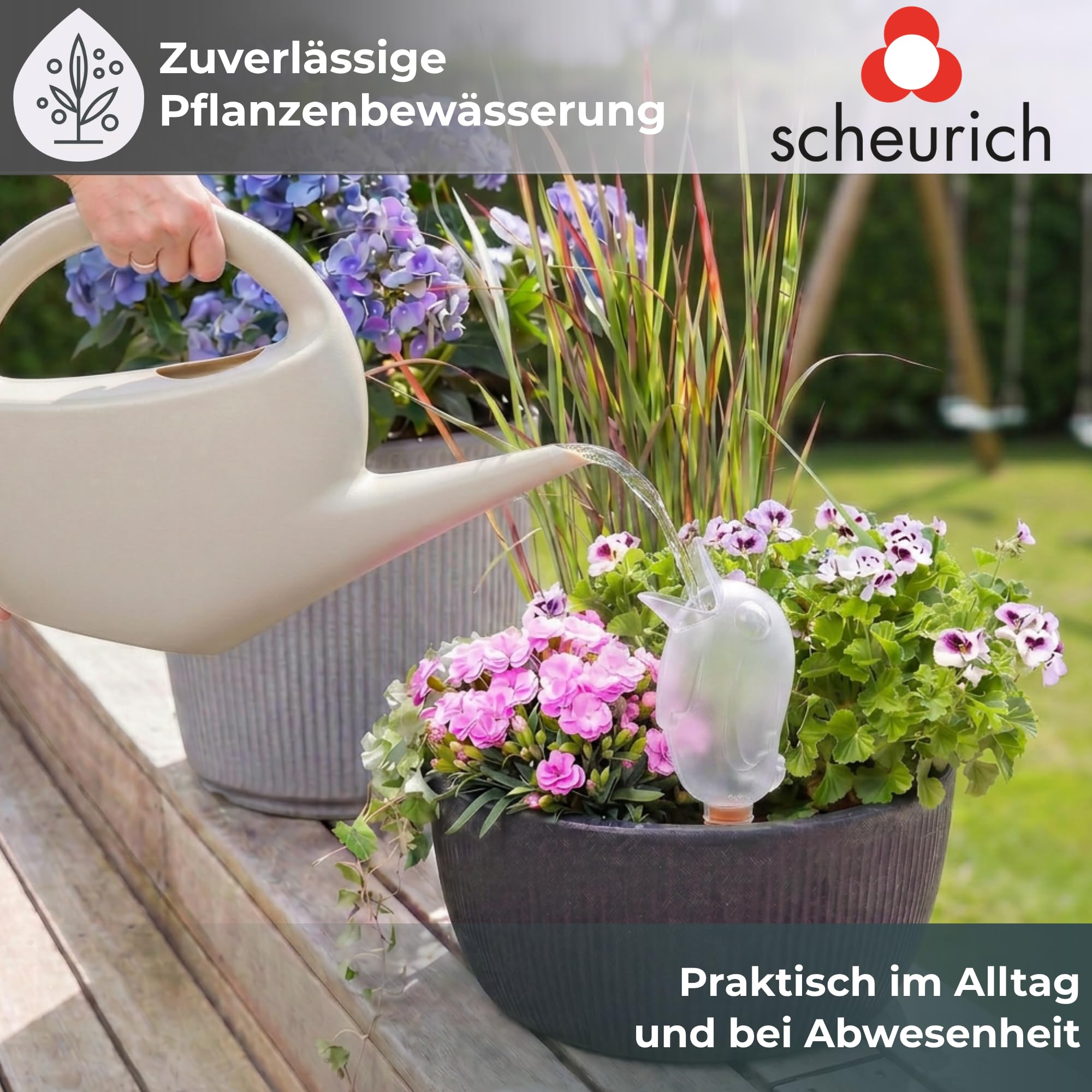 Scheurich Dozownik wody Bördy M | 9 x przezroczysty | pojemność 220 ml | mała kulka nawadniająca z glinką | dozownik wody do roślin pokojowych i kwiatów, trzonek z terakoty