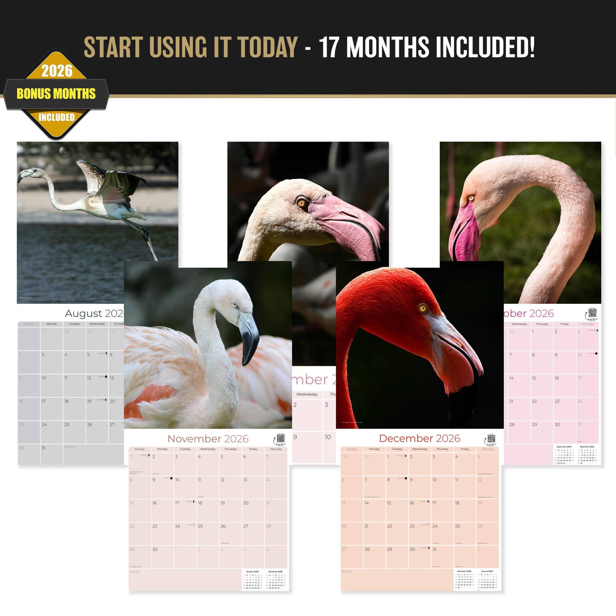 Flamingo Calendar 2021-2022 – Calendario mensual de pared con pájaros de animales – Hecho en Estados Unidos – 12 x 24 (abierto) – Calendario planificador para organizar y planificar