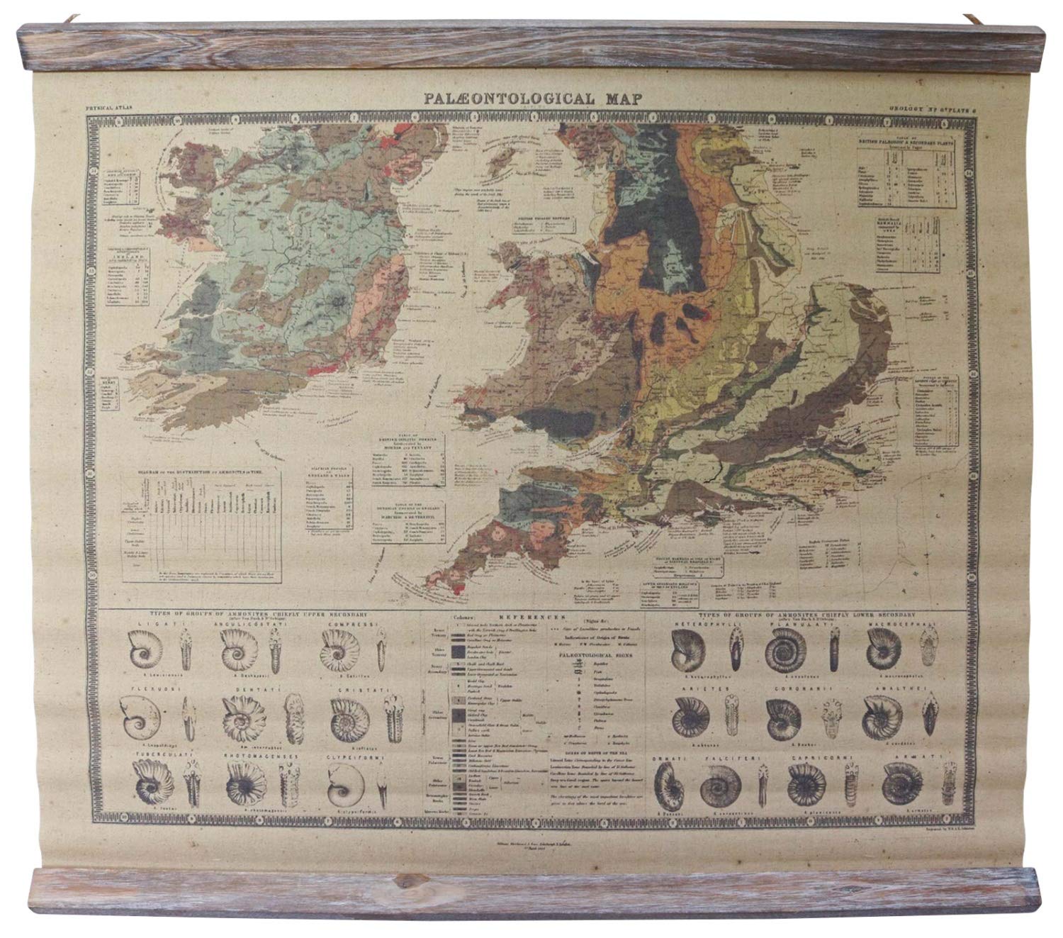 Carte Rouleau Style Antique – Continent Et Ammonites – Aubaho – Décoration Murale