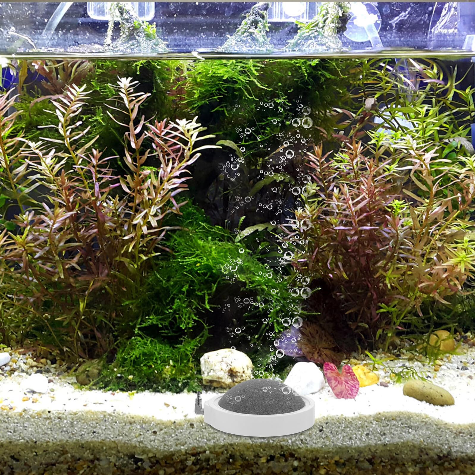 Abaodam 2 Stück Luftstein für Aquarium aus Nanomaterial mit Gleichmäßiger Blasenausgabe zur Erhöhung des Sauerstoffgehalts für Heim Aquarien und Hydroponik Nährstoffbehälter