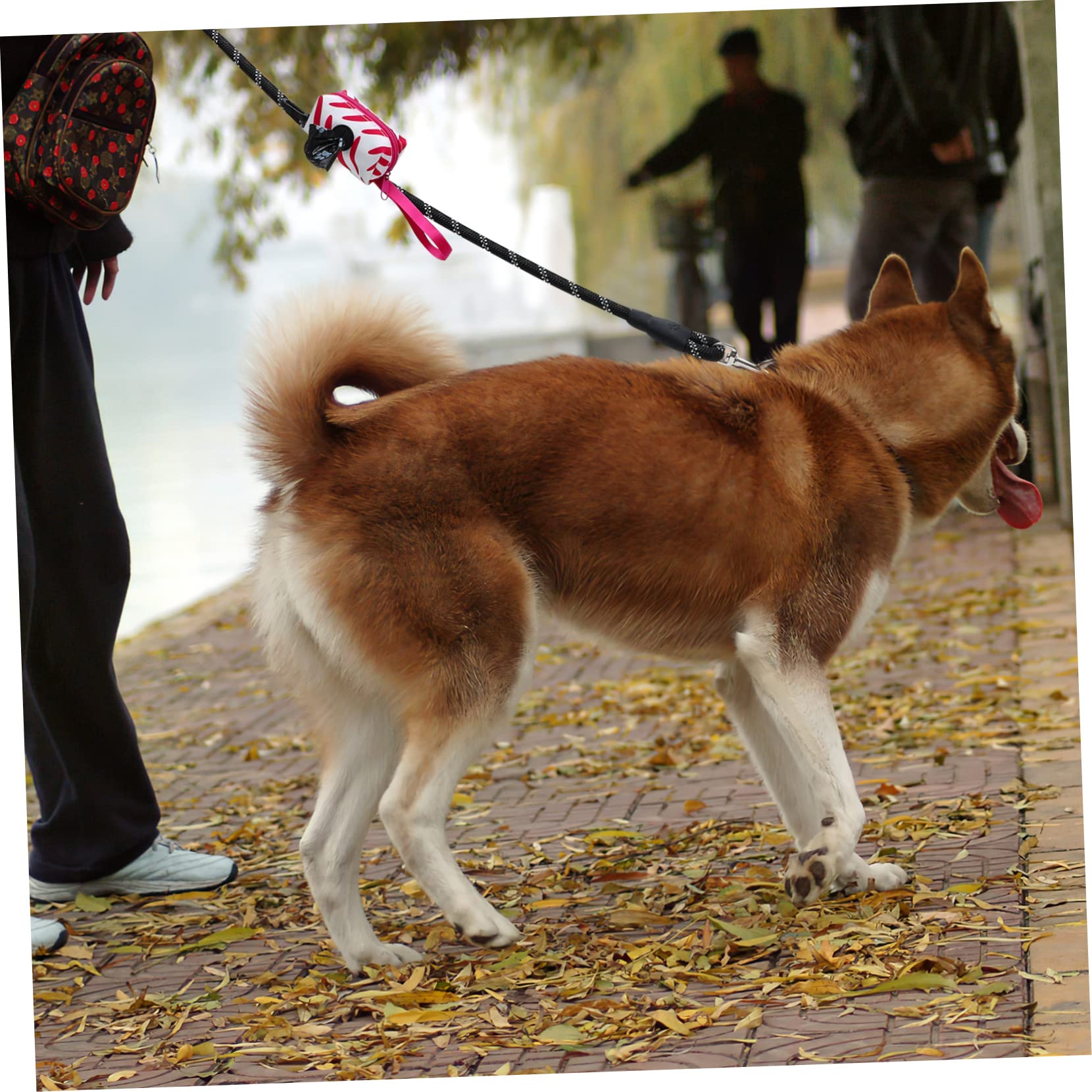 COLLBATH Hundeleine Für Nylon-Leine Mit Beutelspender Für Hundekotbeutel Für Kleine Und Mittelgroße Hunde Draußen