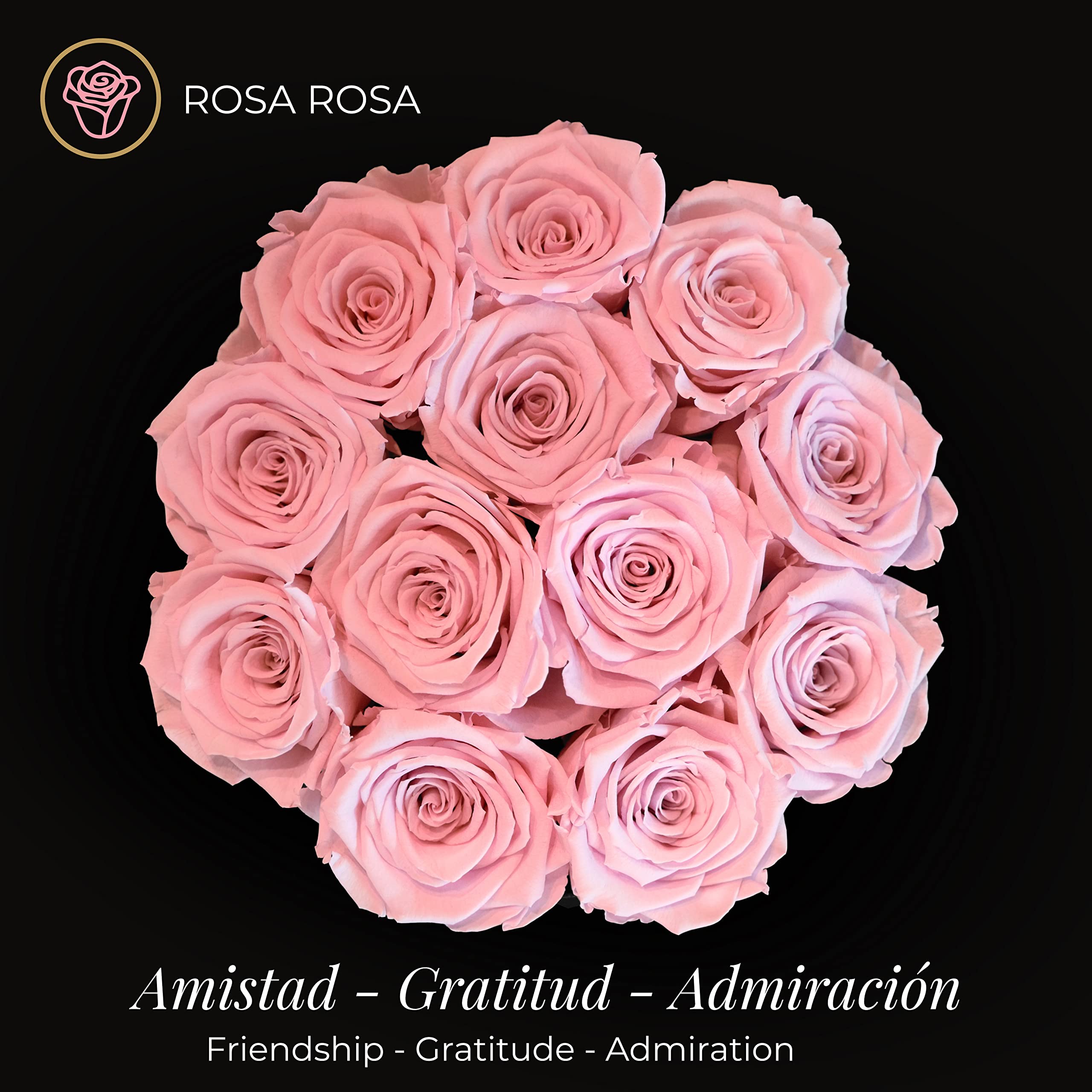 Amoroses 12 Rosas Reales Estabilizadas Duran Años - Idea de regalo de flores preservadas, rosas eternas para ocasiones especiales (Caja Blanca con Rosas Rosas)