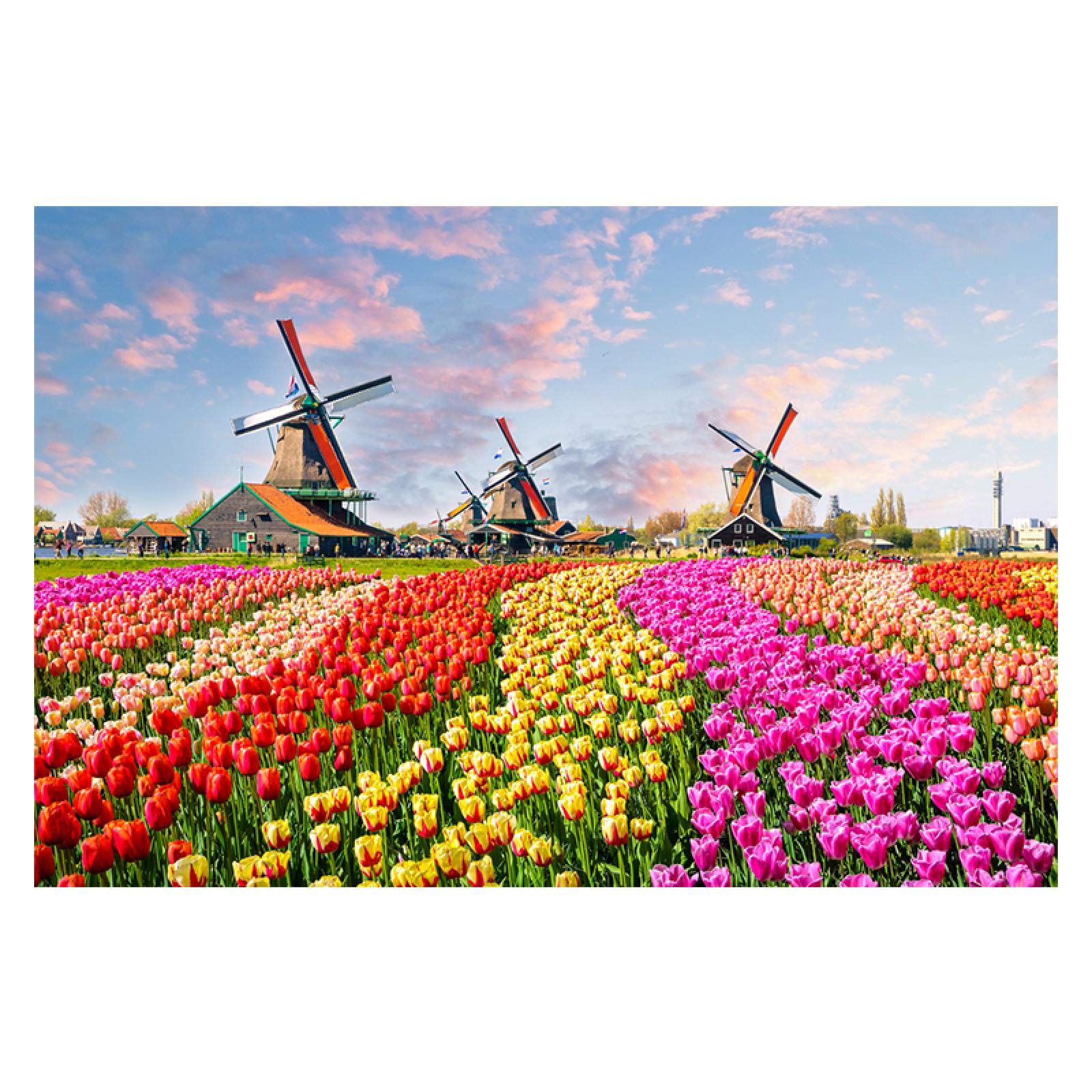 Amazon｜キャンバス絵画現代アートチューリップ花オランダ風車ポスター