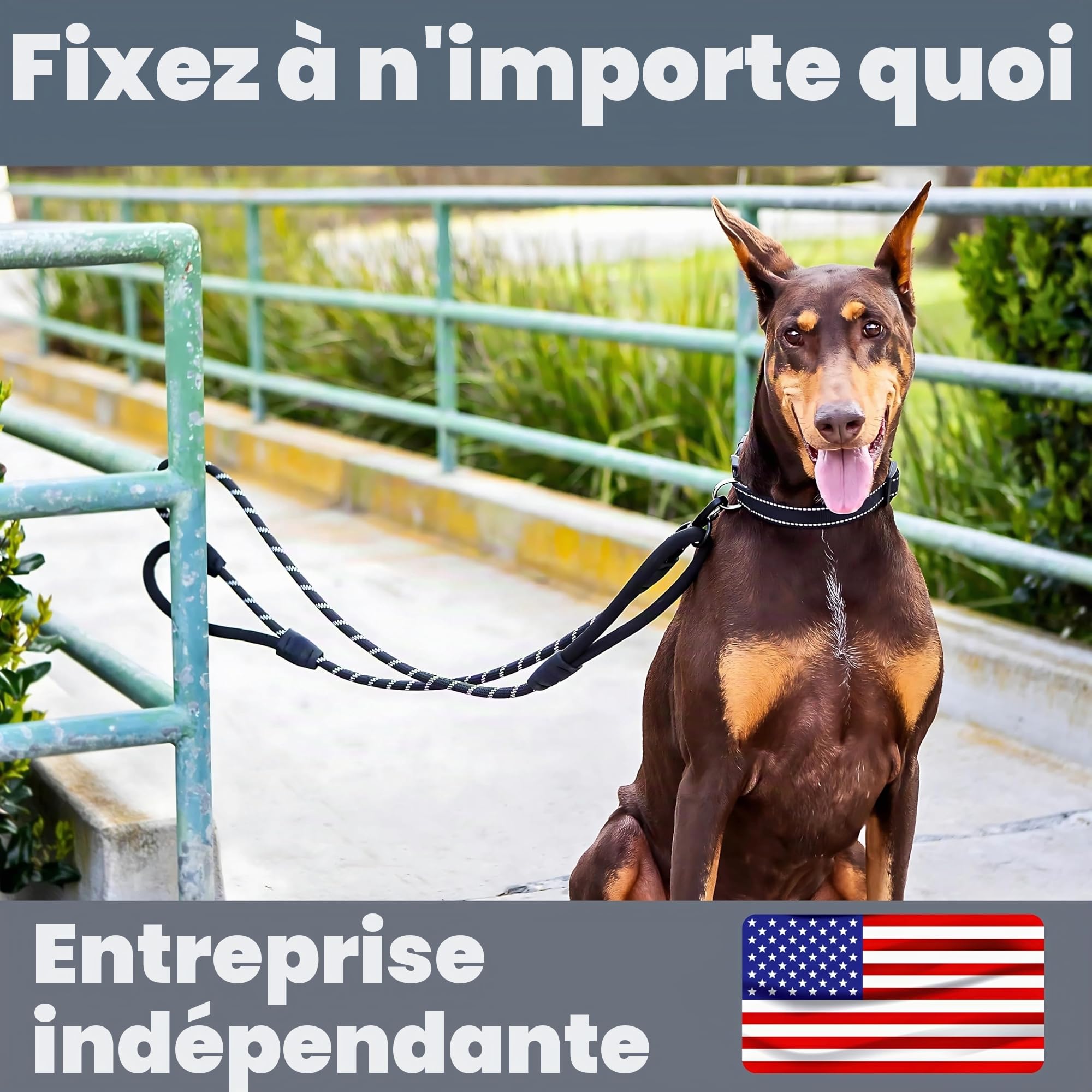 Laisse pour Chien de 1,8 m très résistante, Extra rembourrée, Deux poignées, Mousqueton en métal verrouillable, Pinces en Silicone Durable, Absorption des Chocs, Laisse réfléchissante