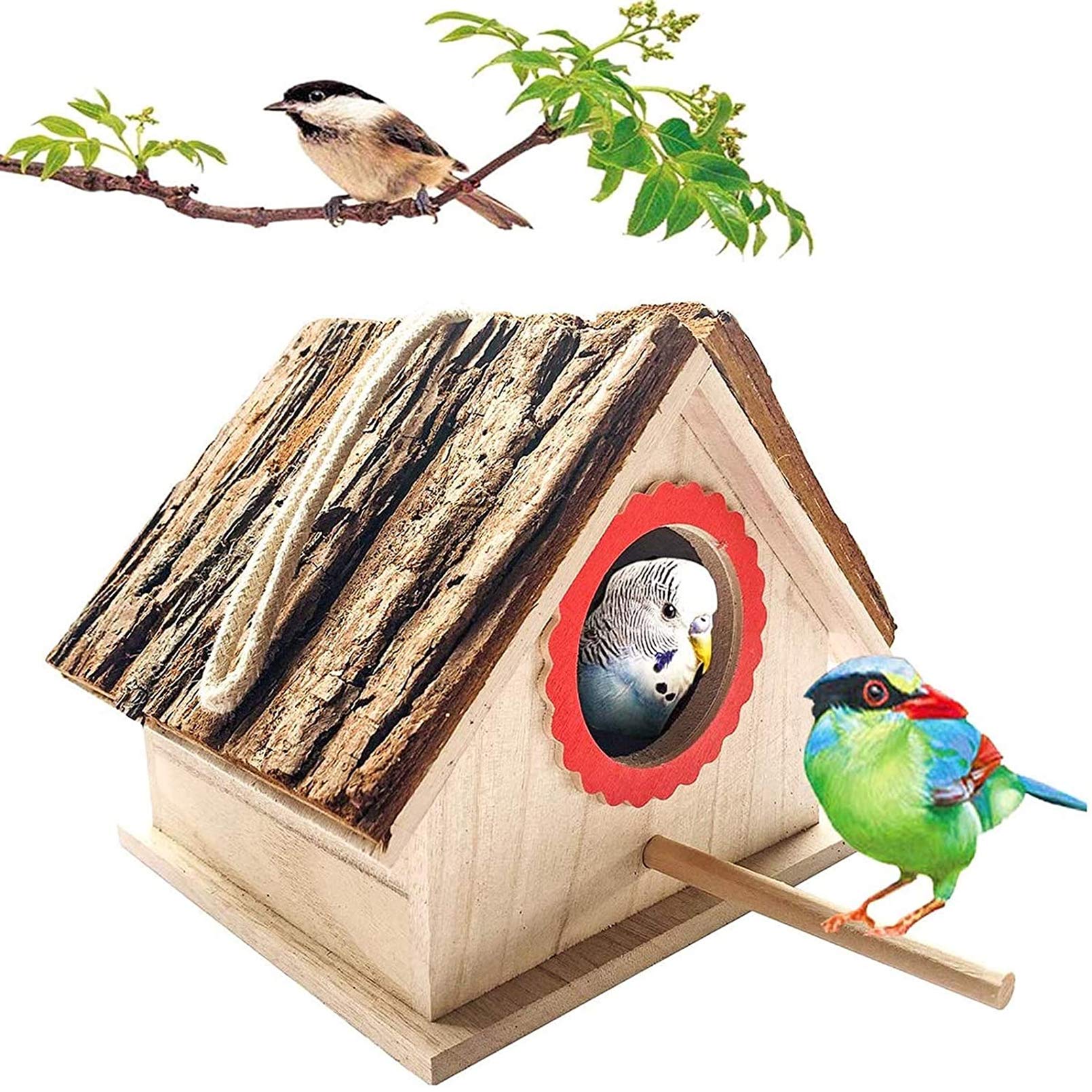 Buy Kathson Bird House for Outside Clearance Parakeet Nesting Box