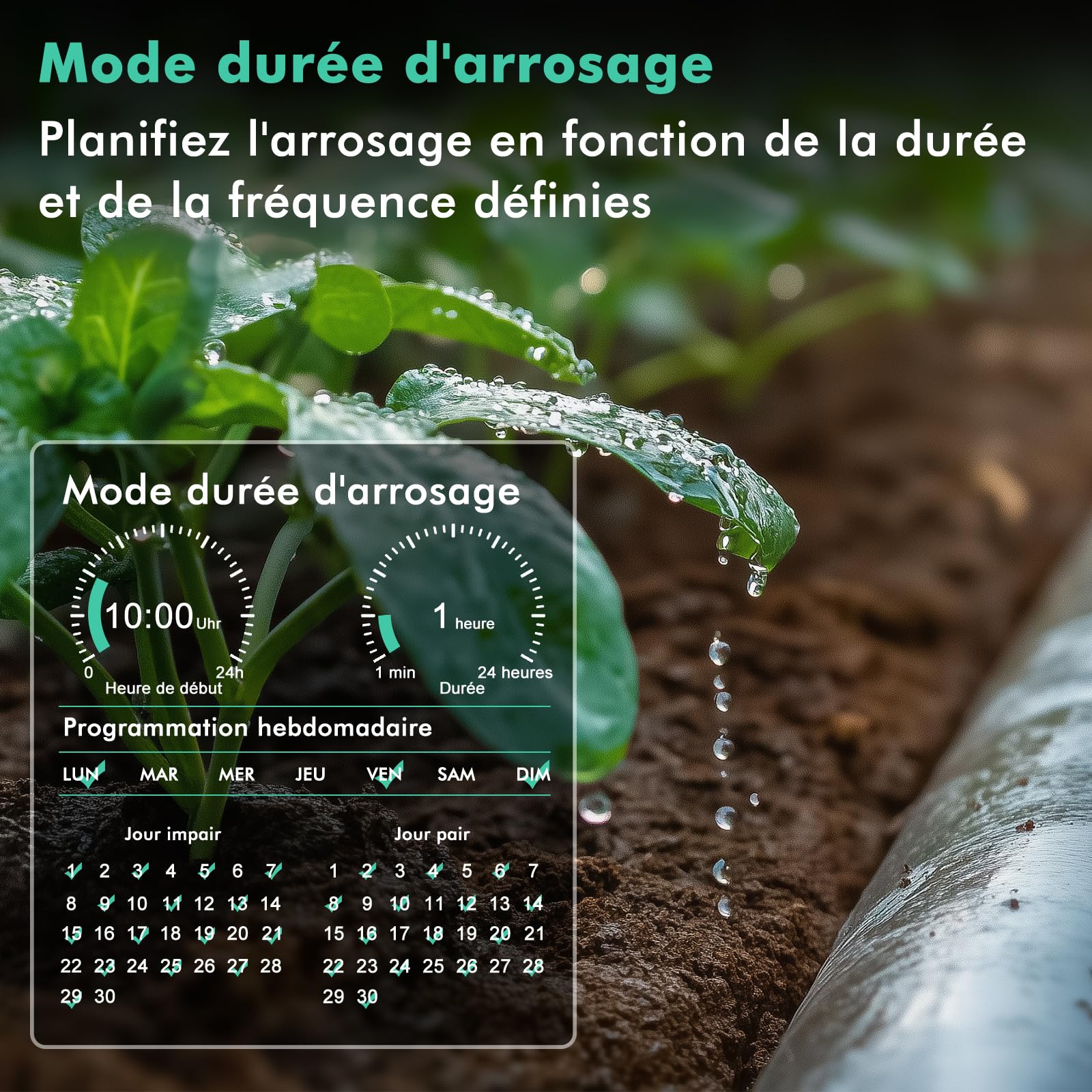 RESTMO Programmateur arrosage Bluetooth intégrée et contrôle Application