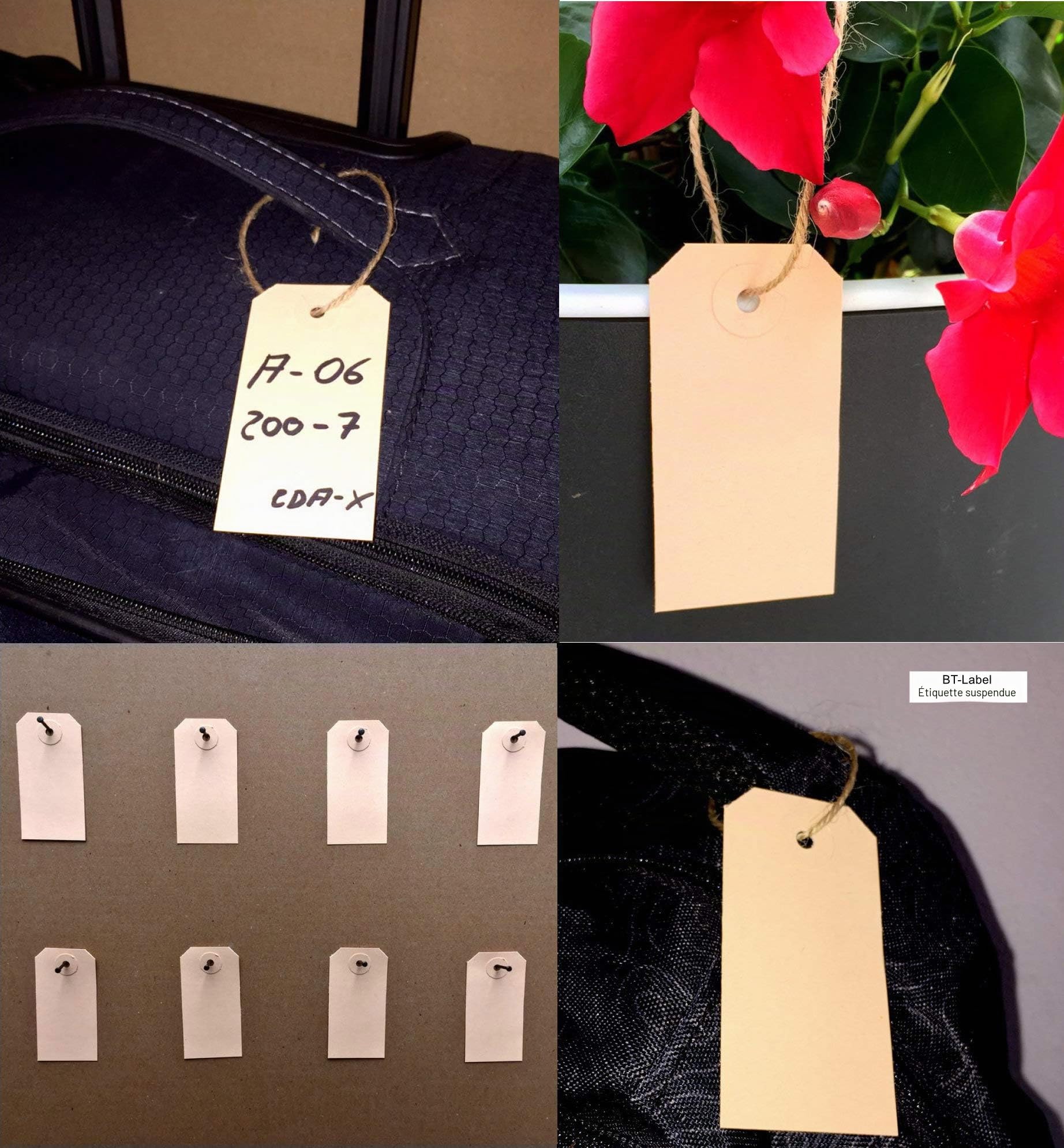 Lot de 1000 Étiquettes 50 x 100 mm Avec Trou (Œillet en Carton Renforcé) - Étiquettes de Marchandises en Papier