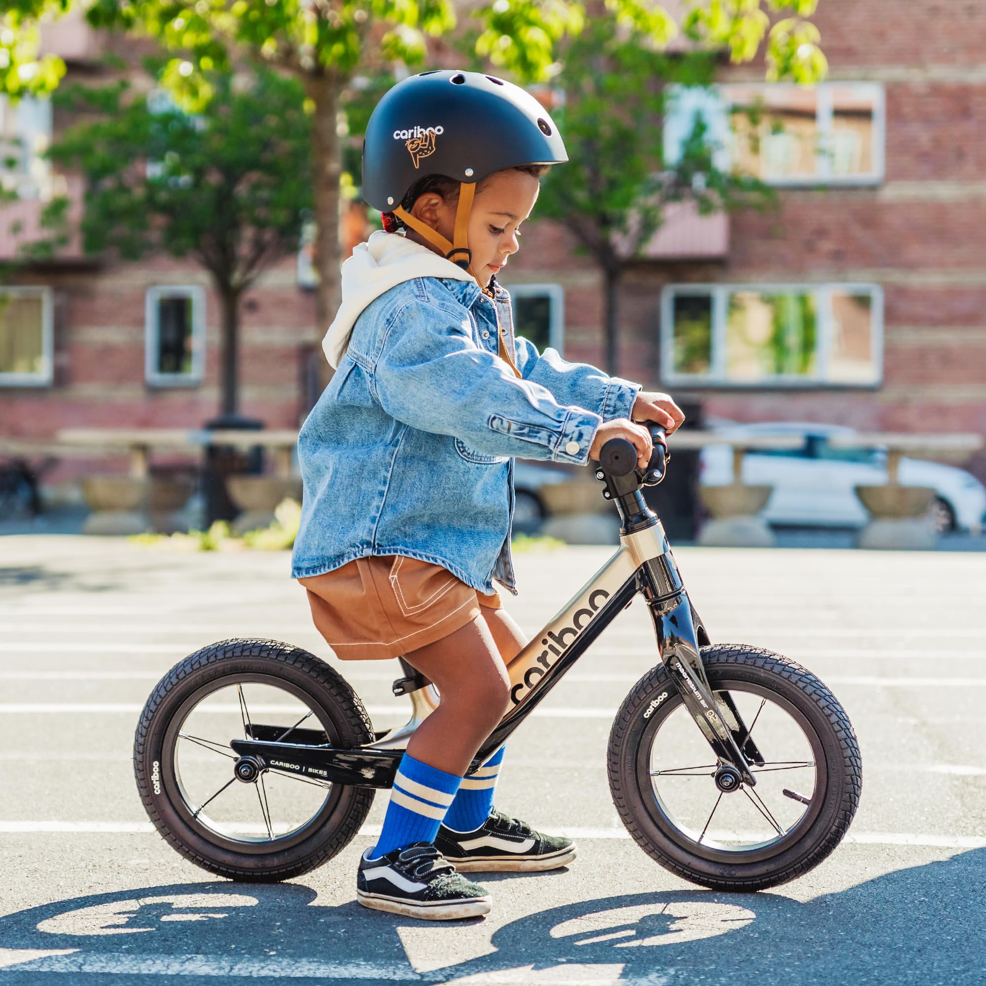 cariboo Magnesium Air Bicicleta Infantil 3 Años Sin Pedales Ajustable Robusta Ligera Ruedas 12 Pulgadas Bicicleta Equilibrio
