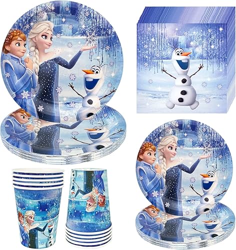 Suministros de fiesta de cumpleaños de Frozen, el juego de decoración de fiesta de cumpleaños con temática de invierno incluye 20 platos, 20
