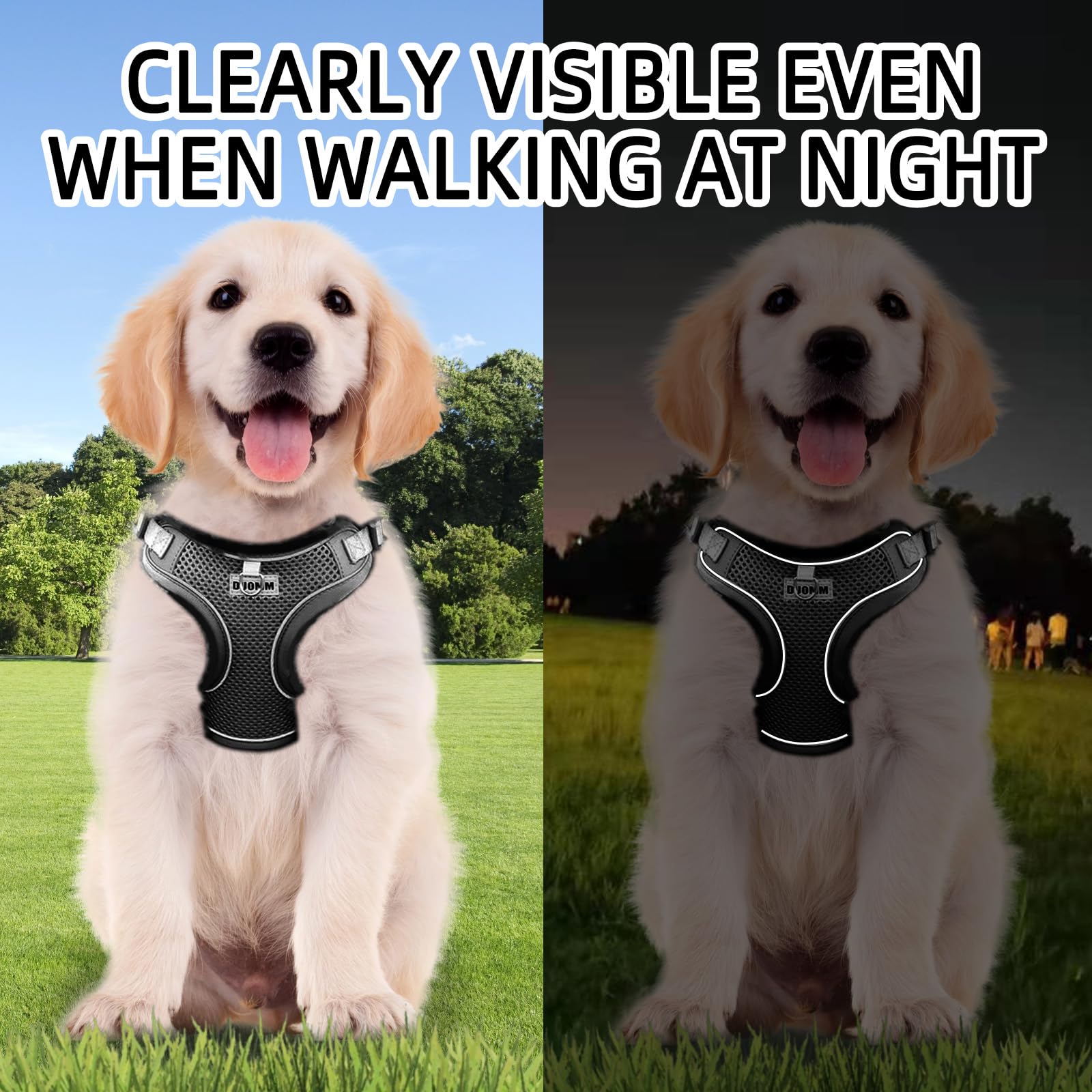 Dog Harness Medium Breathable Vest, Step-in Cat Puppy Collars and Lead Sets - Image 4
