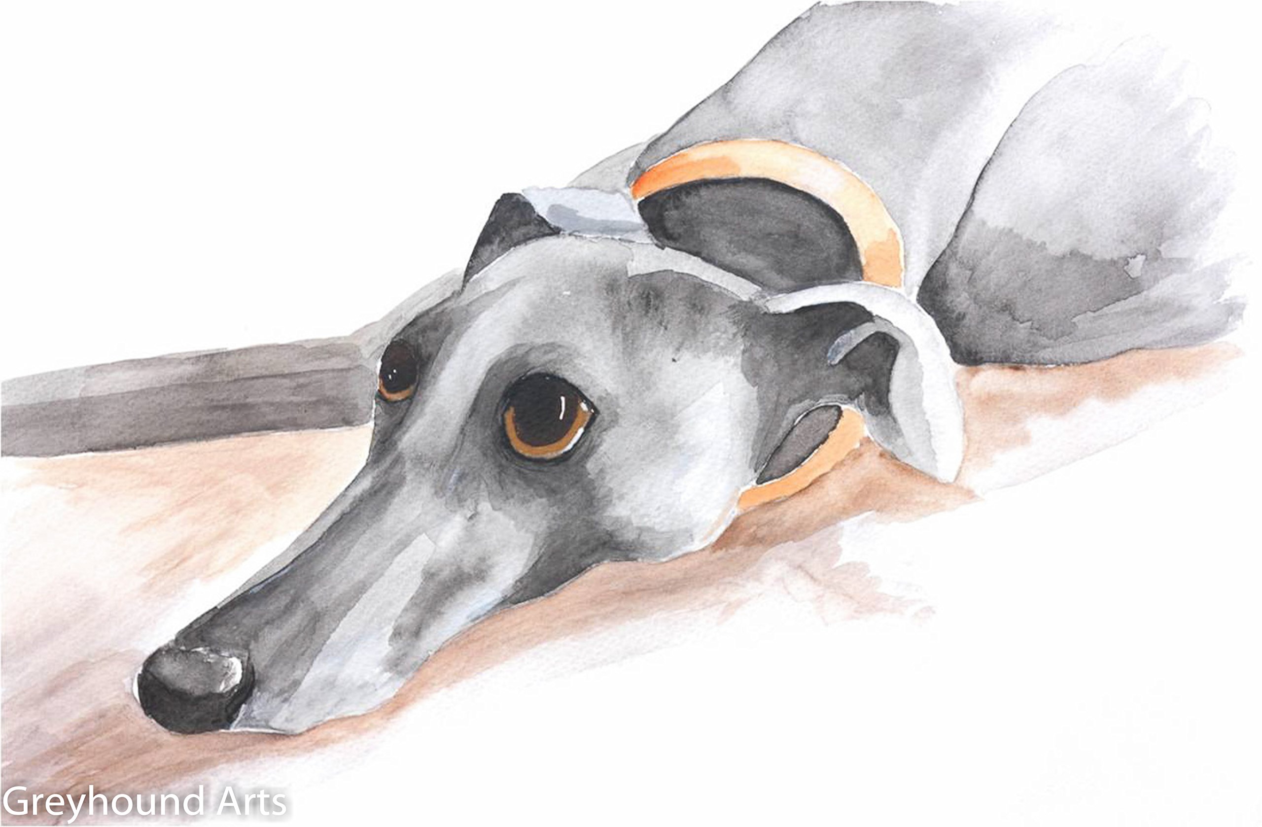 GreyhoundArtwork Whippet Lurcher Italian Dog Painting Art Print - A4 + Mount 11 x 14 inches