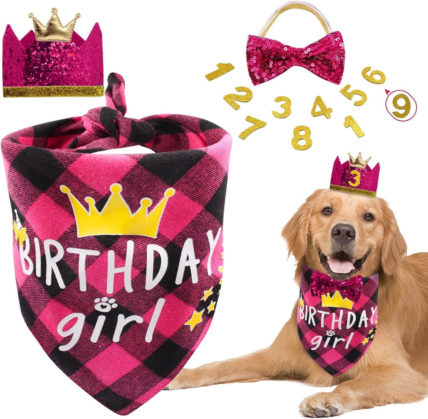 Dog Birthday Party Supplies, Girl Dog Birthday Bandana Set