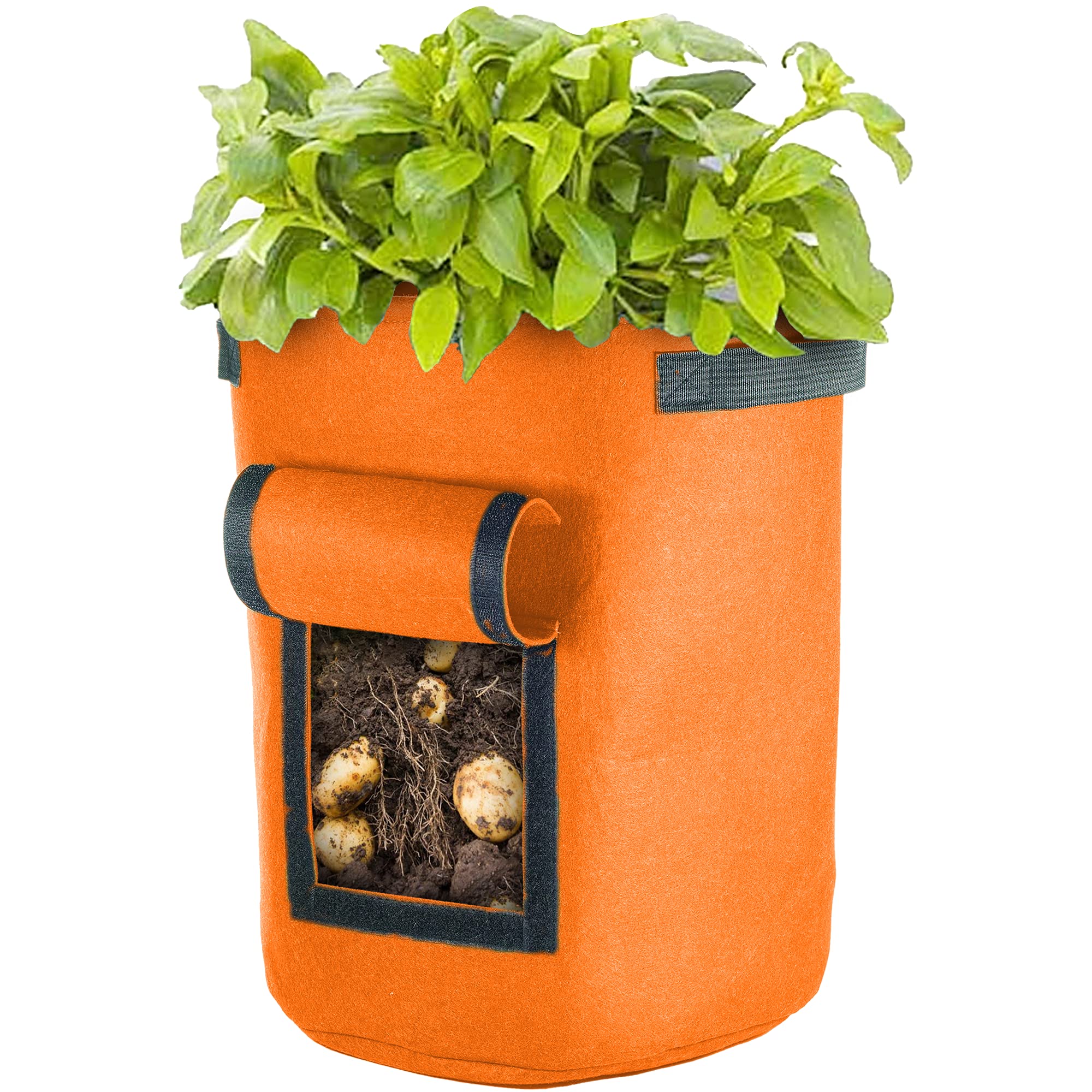 Gardeners Dream Vegetable Grow Bag W/ Window | Felt Garden Planter Durable Container 35L Orange