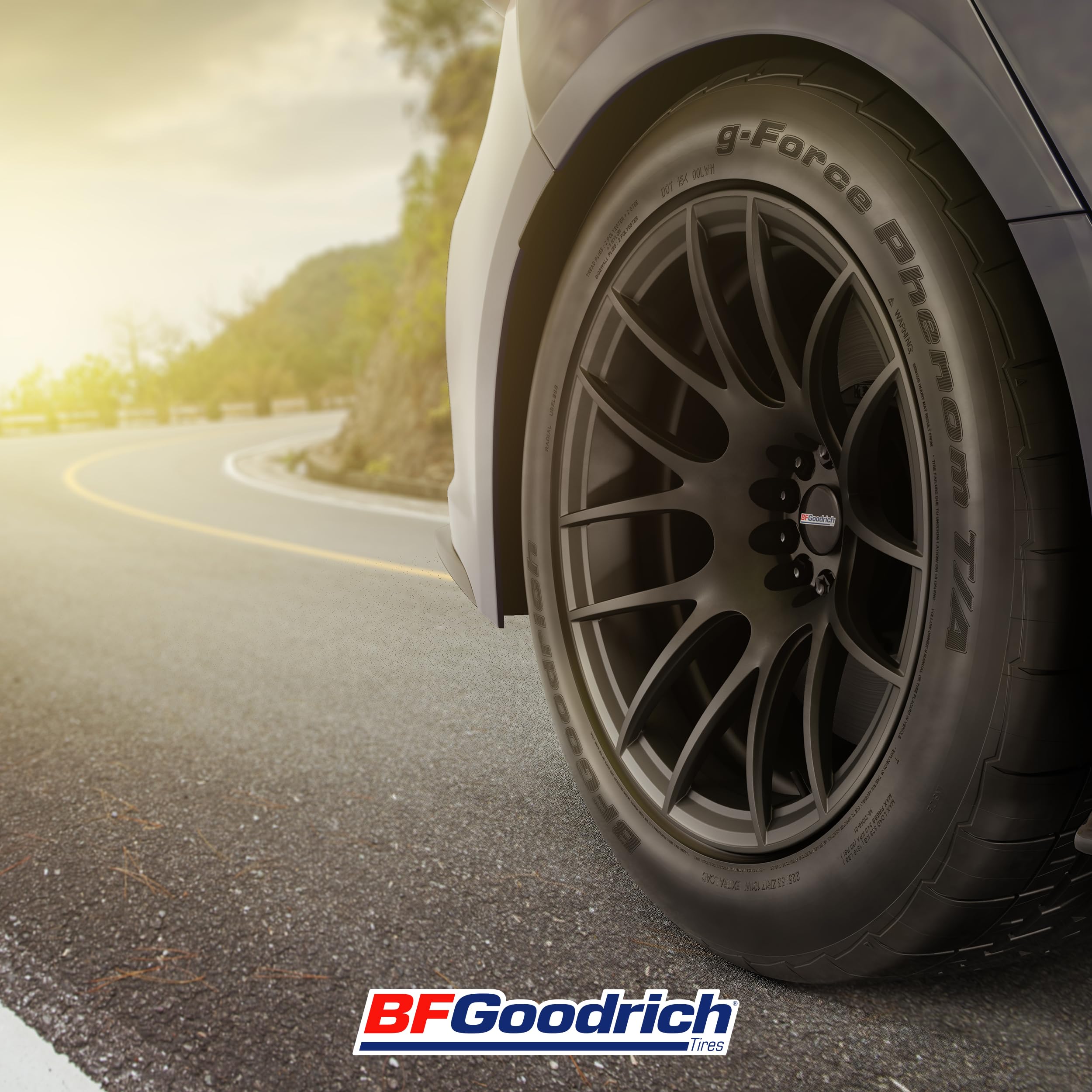 タイヤ・ホイール BFGoodrich g-Force Phenom T / A Amazon.com: BFGoodrich g-Force Phenom T/A Summer High