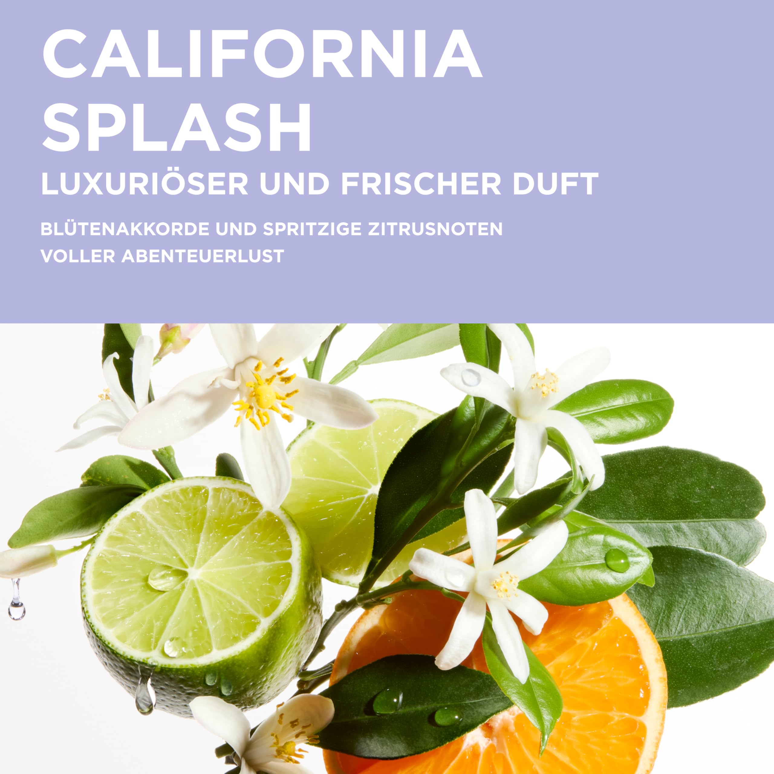 Kérastase Anti-Gelbstich Shampoo für strapaziertes und ausgeblichenes Haar, Haarbad mit Hyaluronsäure, Bain Ultra-Violet, Blond Absolu, 250 ml