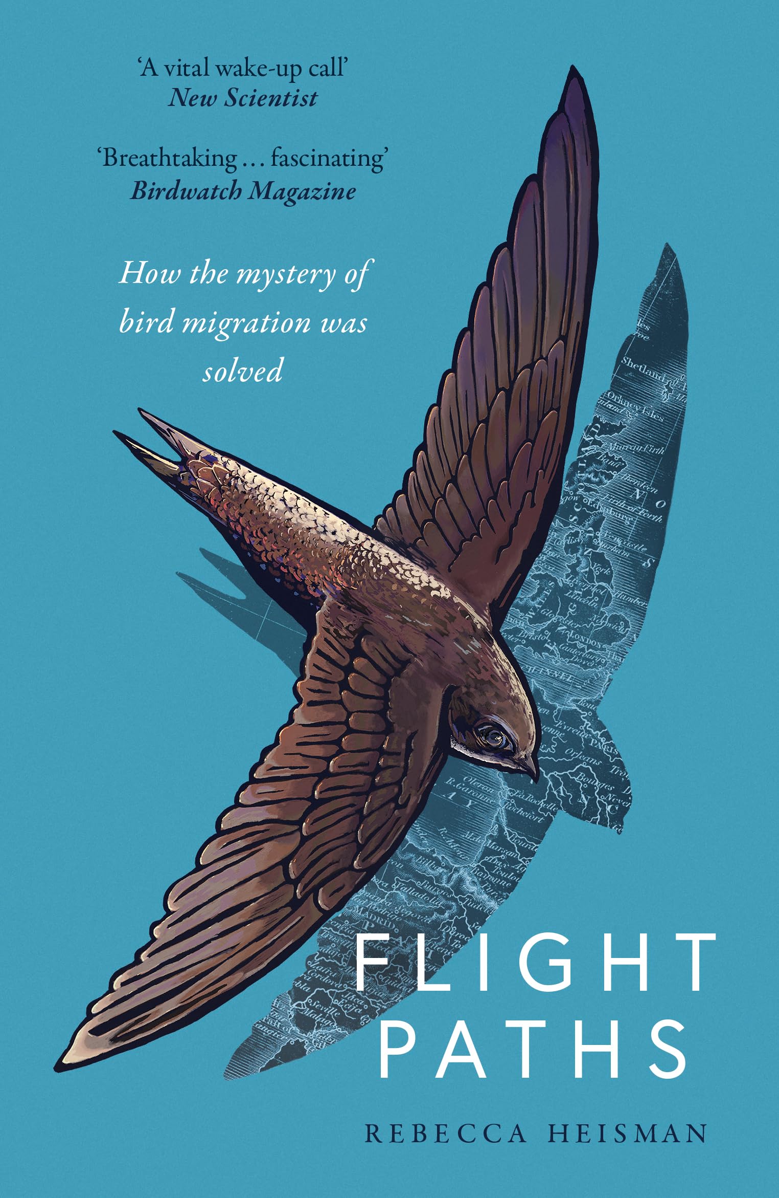 Flight Paths by Rebecca Heisman PAPERBACK 9781800752948