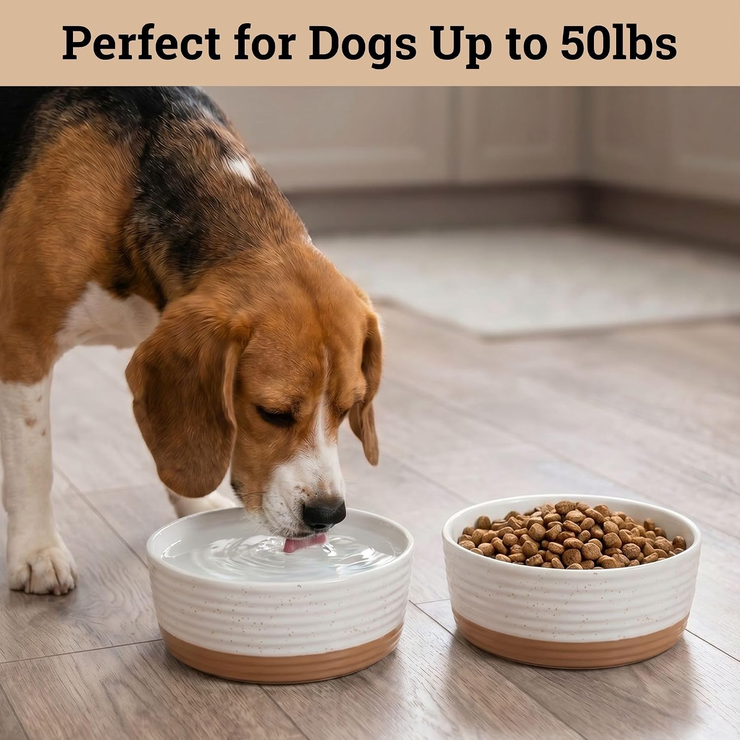 Ceramic Dog Bowl Set of 2 w/ Anti-Skid Base 6.5"W x 2.5"H, 3.8 Cup Capacity image 3