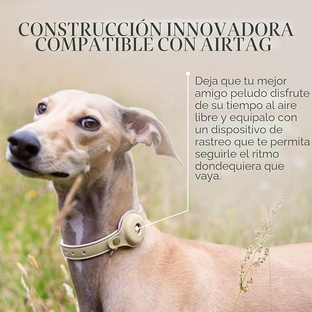 Foto 5 de 8 de NINA WOOF - Collar Cupertino Ajustable para Perro, Compatible con Airtag, Arnes y Correa para Perros Hecho…