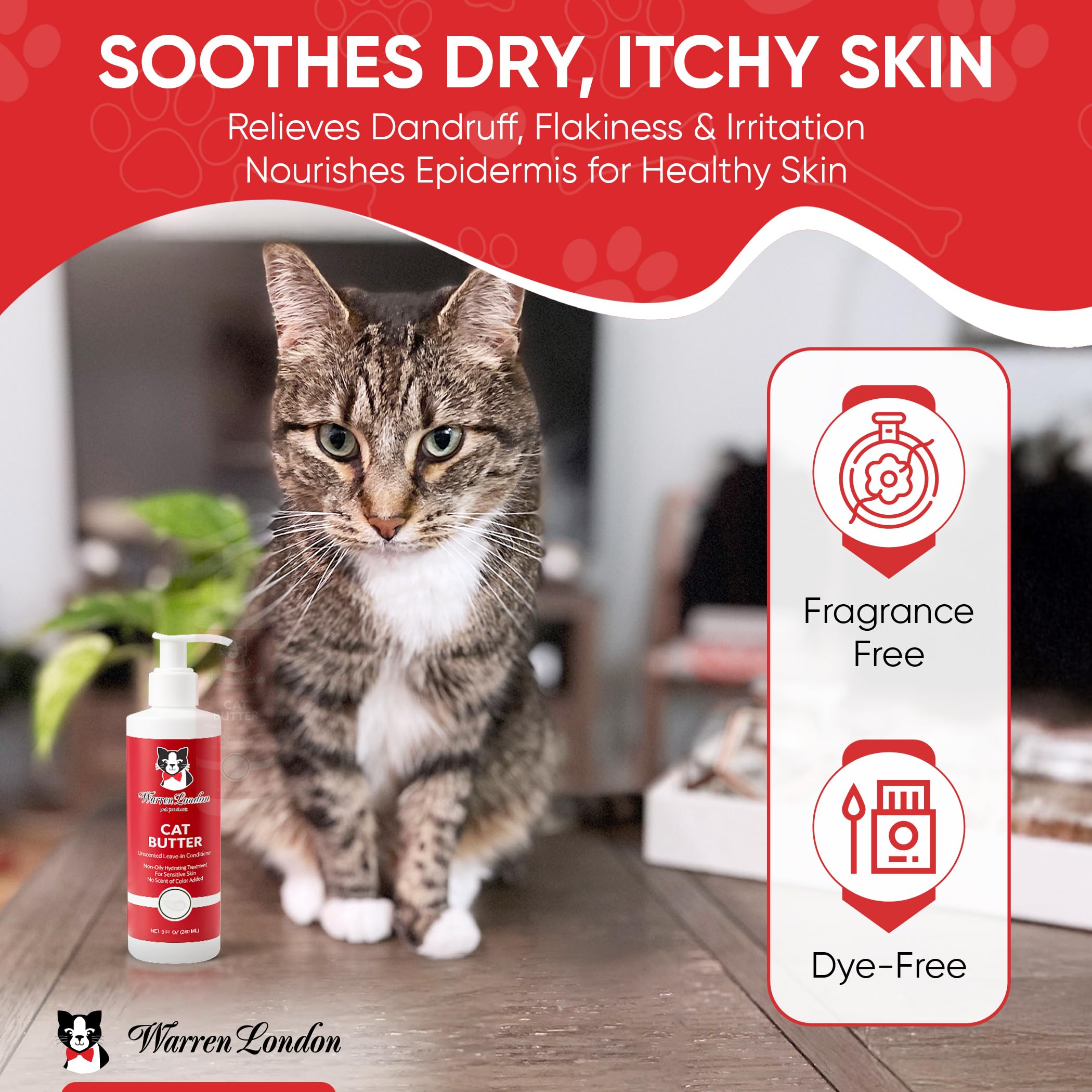View 5