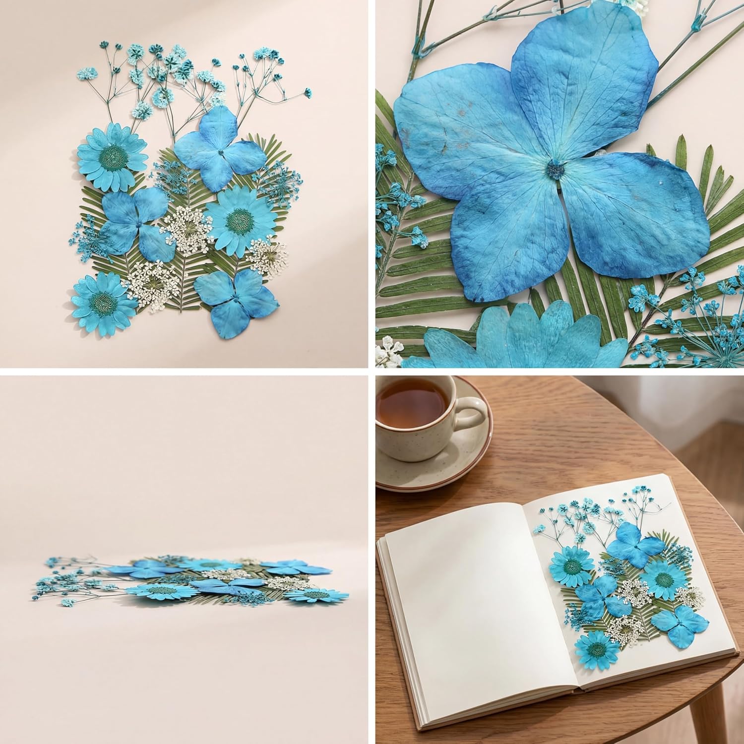 Exquisite Bulk Wholesale Pressed Flowers for DIY Craft Valentine Easter Spring Decor Fairy Makeup Bridal Portrait(Meng-LAN,M)