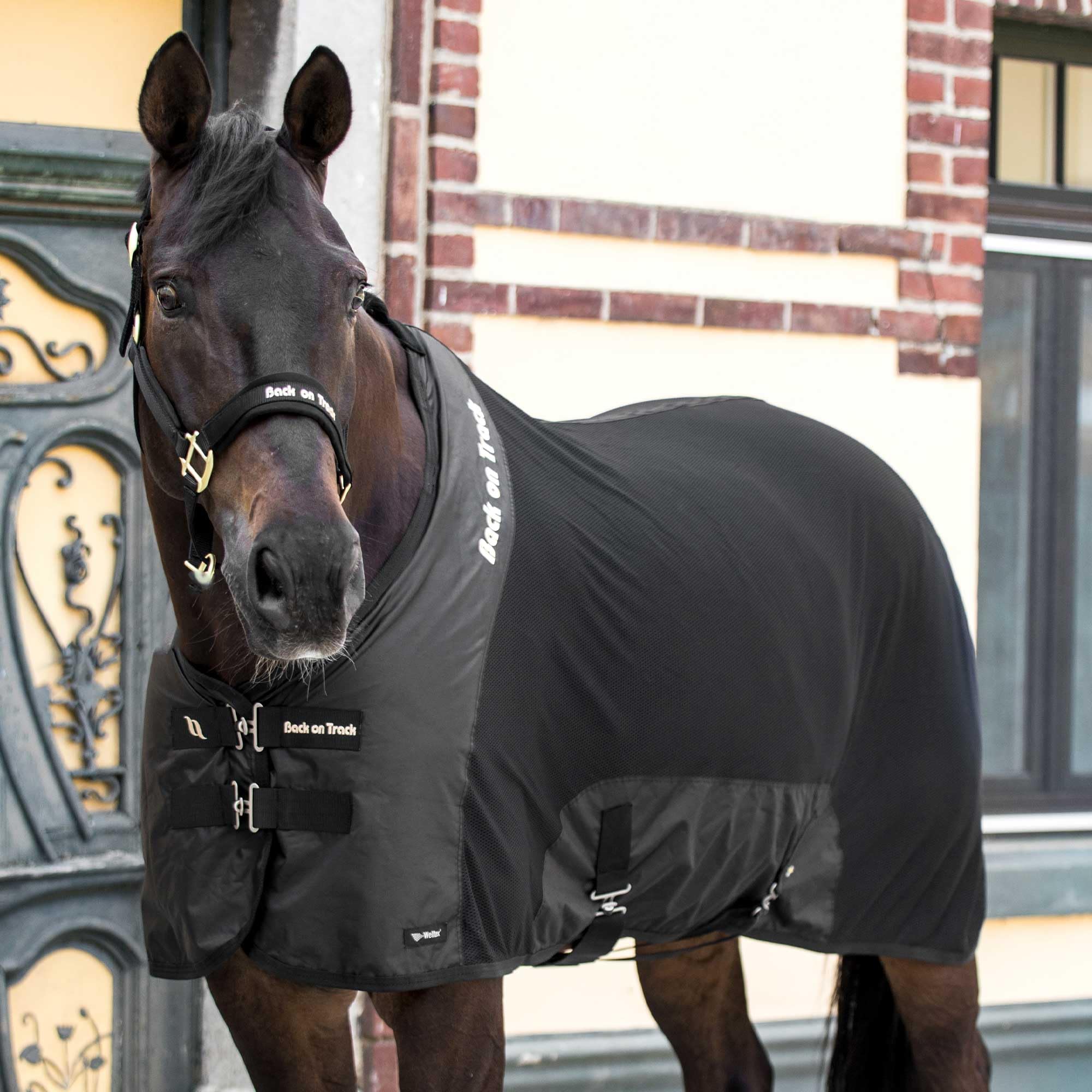 Amazon.com: Back on Track Royal Mesh Sheet Deluxe - Equestrian 