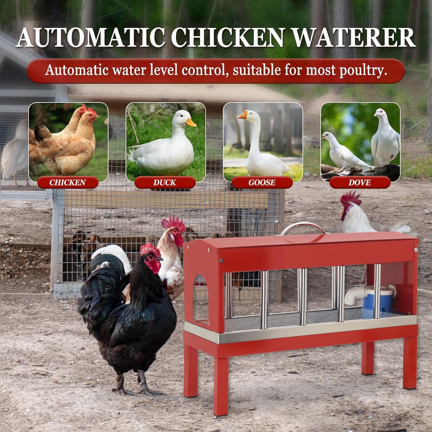 Automatic Chicken Waterer Stainless Steels Large Poultry Waterer Dispenser 11 Windows with Float Valve Kit Hose Accessorie for Duck Goose Pigeon Quail Turkeys