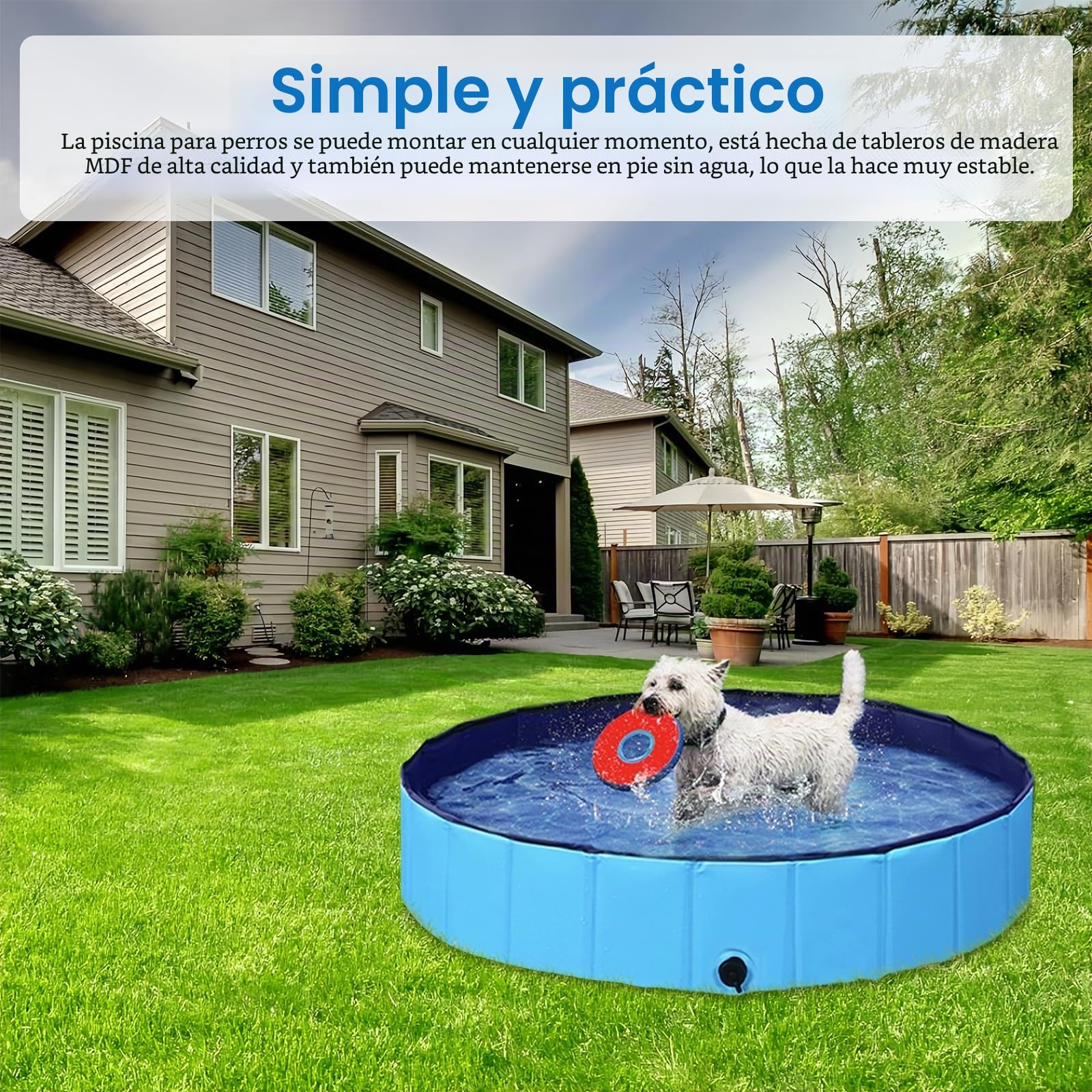 Piscina para perros, piscina plegable, antideslizante, resistente a la abrasión, con válvula de drenaje, 80 x 20 cm, color azul
