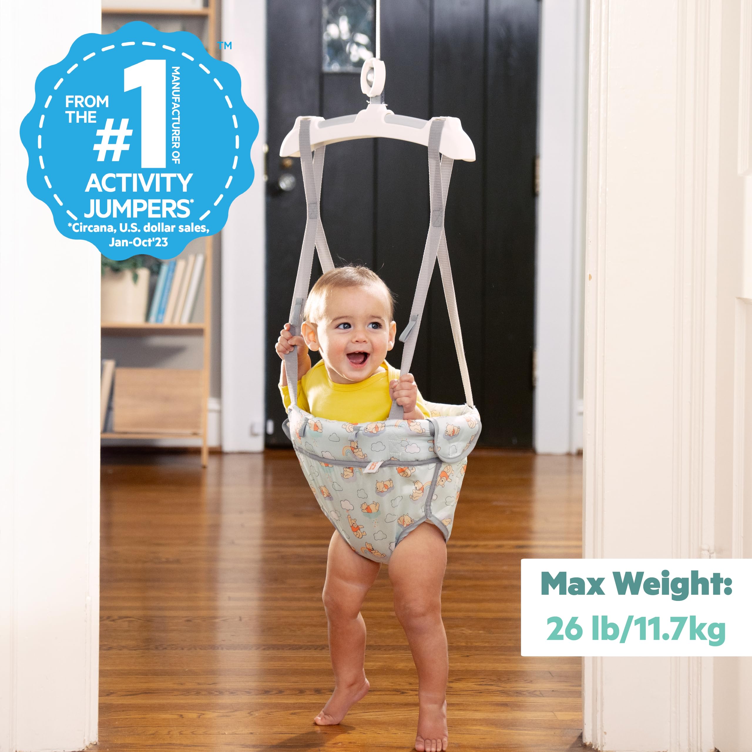 Bright Starts Altalena da Porta Disney Winnie the Pooh - Dondolo Neonato Regolabile - Fissaggio Sicuro Senza Attrezzi - 4-12 Mesi, Fino a 12 kg
