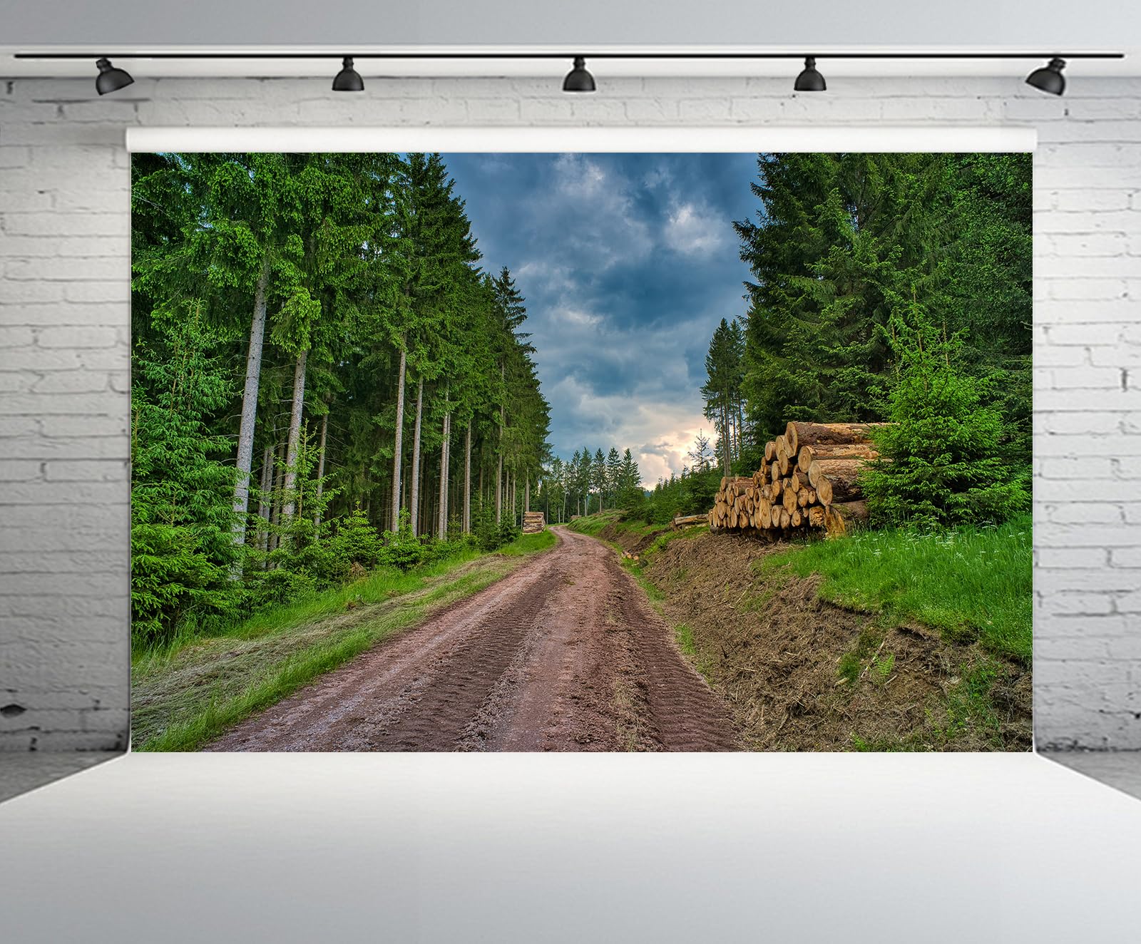 CHNYWORK 15x10ft Green Forest Backdrop Woods Dirt Road Hiking Path Green Grass Clouds Scenery Background Nature Theme Hiking Camp Birthday Wedding