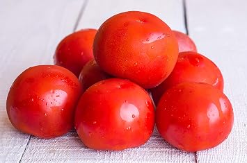 Champion II Hybrid Tomato Seeds - A Luscious Sandwich Tomato High yields 10 - Seeds