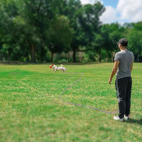 Miniatura 7 de Rypet Correa larga reflectante para gatos, correa larga de 15 pies, a prueba de escapes, correa larga duradera, segura, personalizada, extensora