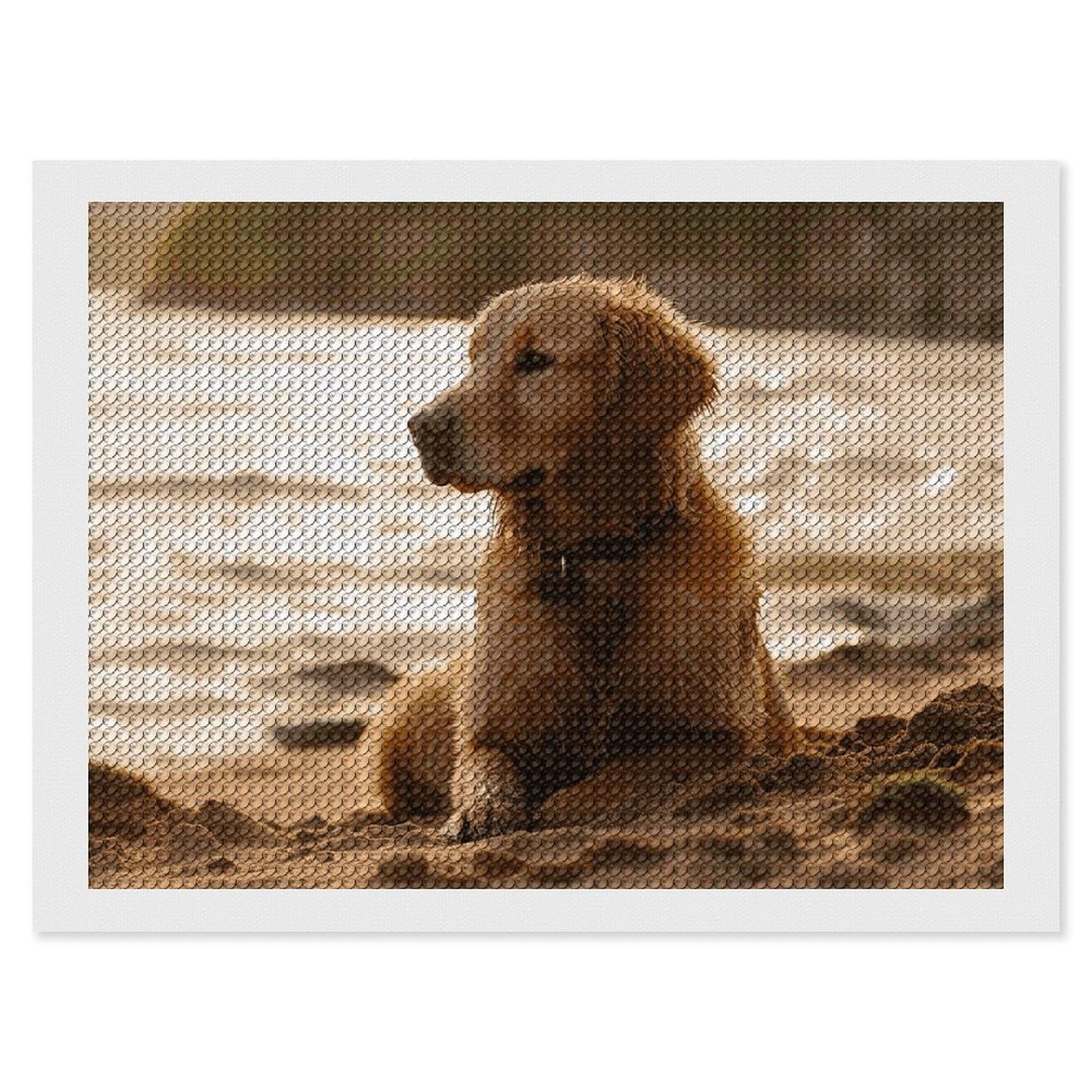 NONHAI Diamond Painting Kits for Adults - DIY Diamond Art Kits for Beginners - Full 5D Paint Drill Diamond Dots Paintings- Retriever Diamonds Pictures Gem Art and Craft Wall Decor 12"x16"