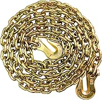 SALIFTFE 5/16" Grade 80 Tow Chain with Hooks, 4900 lbs WLL, 12FT Trailer Log Chain for Trucks, Farms, Construction
