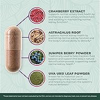 Vista 5 de Suplemento PurePremium para el Apoyo al Riñón – Limpieza, Desintoxicación y Reparación del Riñón con Extracto de Arándano y Astragalo - Complejo