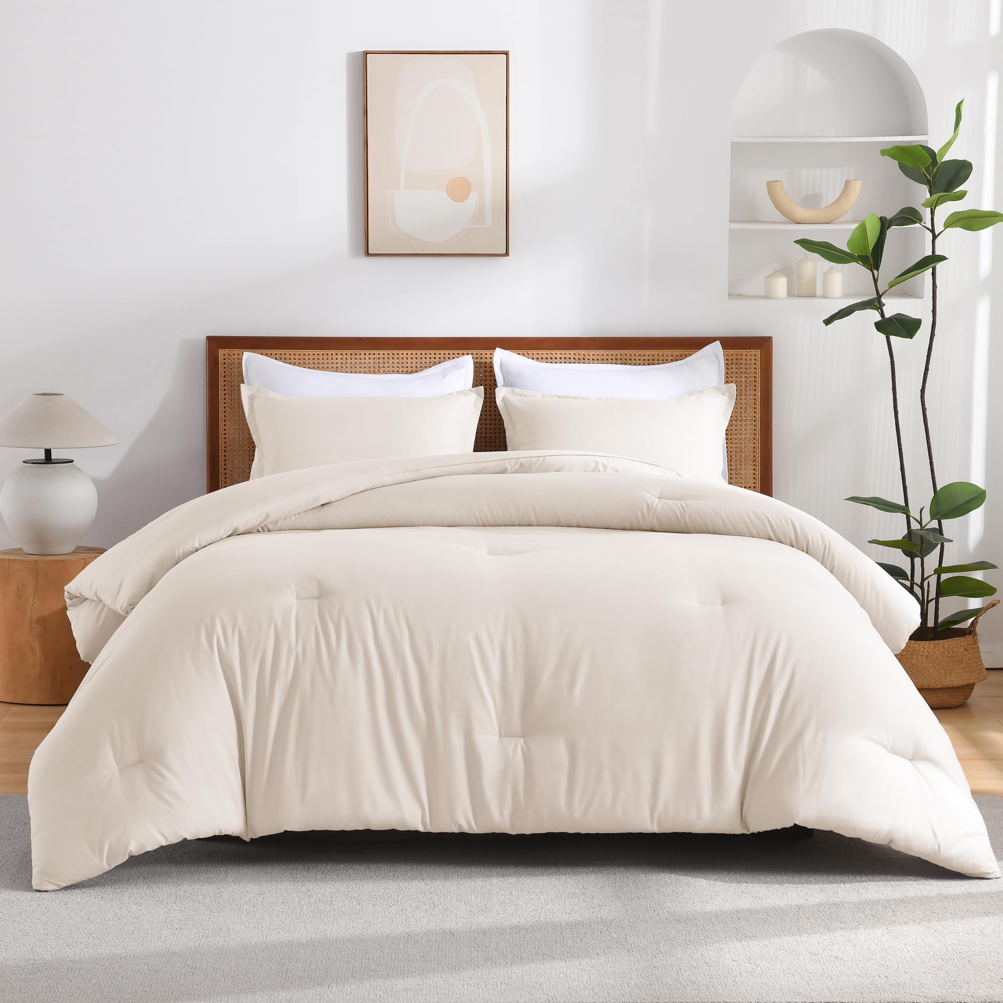 Andency Set copripiumino per letto queen size, leggero, soffice e bohémien, per letto matrimoniale, per tutte le stagioni, set di biancheria da letto per uomini e donne (228 x 228 cm piumino e 2