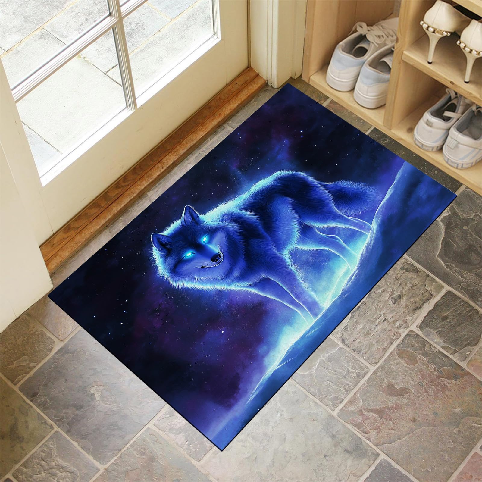 Paillasson Attrape Poussière Finies les Traces de Chien Tapis 40X60
