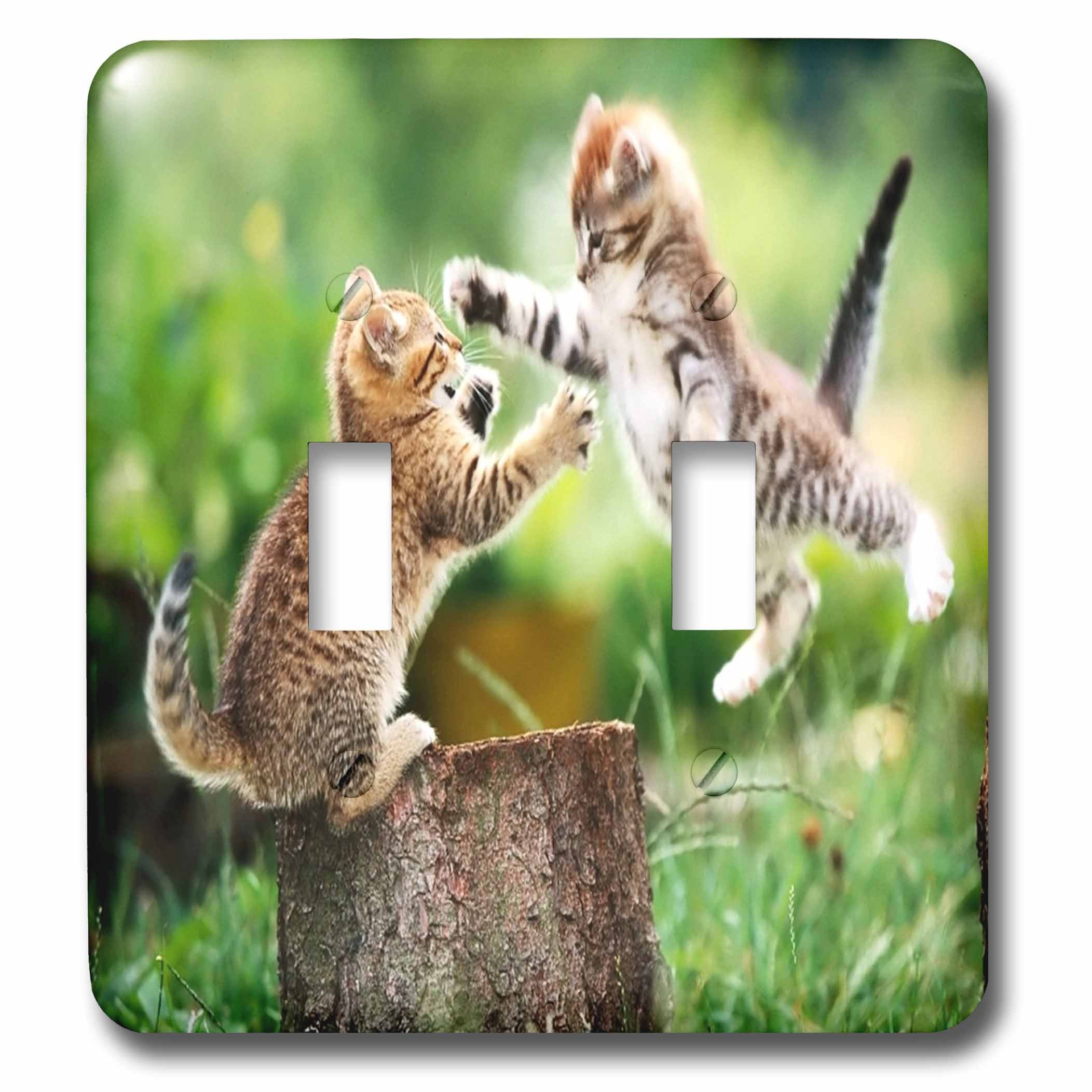 Interruptor de doble palanca Kittens Have Fun para dormitorio infantil