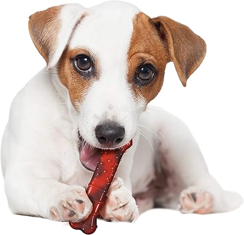 Miniatura 3 de Nylabone Flavor Frenzy Power Chew - Juguete masticable para perros sabor carne seca, tamaño pequeñoregular, 1pieza