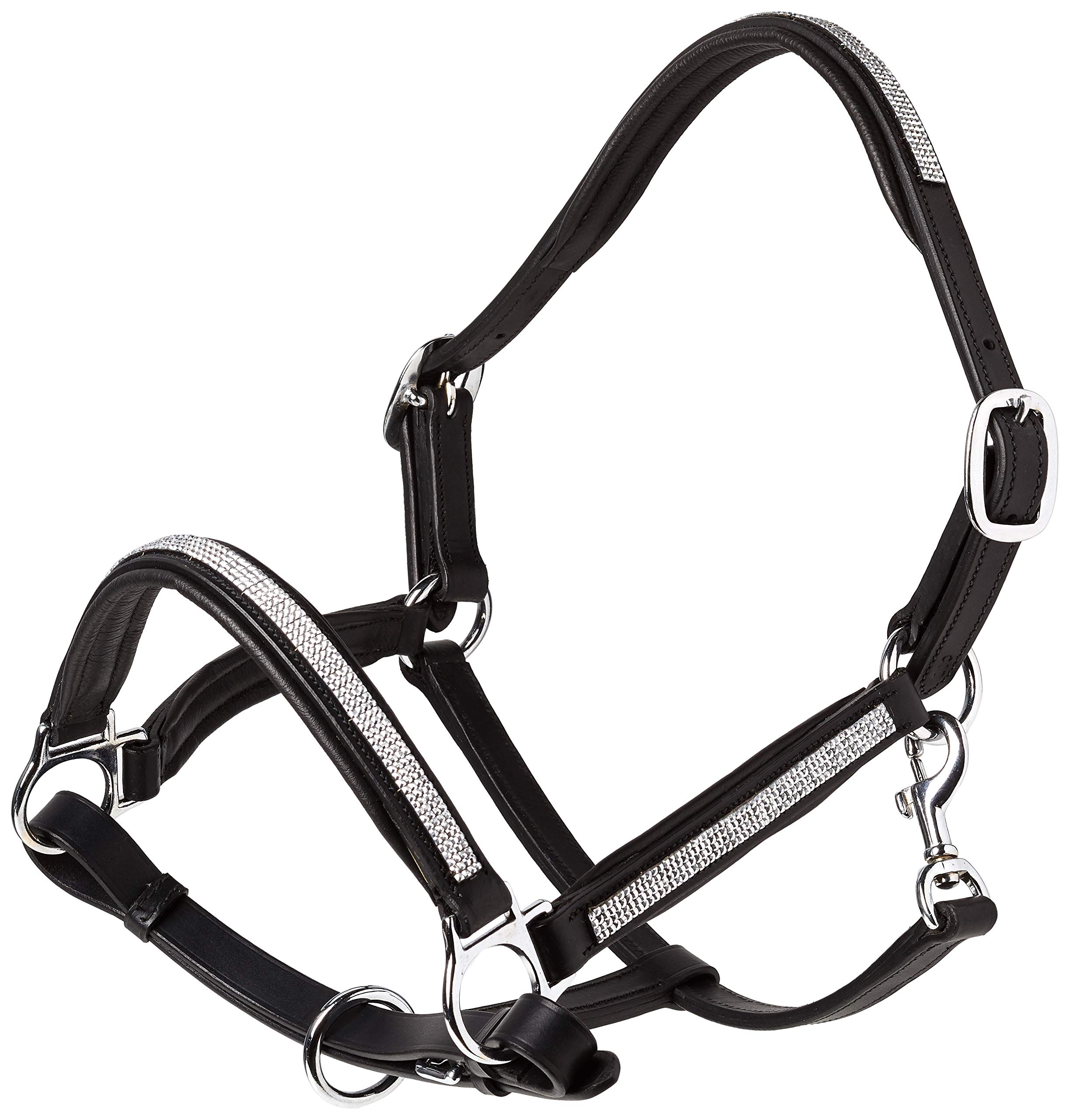 Cwell Equine NEW Leather Halter Padded with SS Buckles 6/8"-Cob, Full, Pony BLACK (COB)