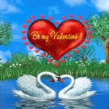 Swans Valentine Live Wallpaper