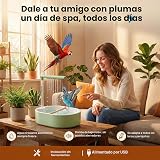 Ver la foto 4