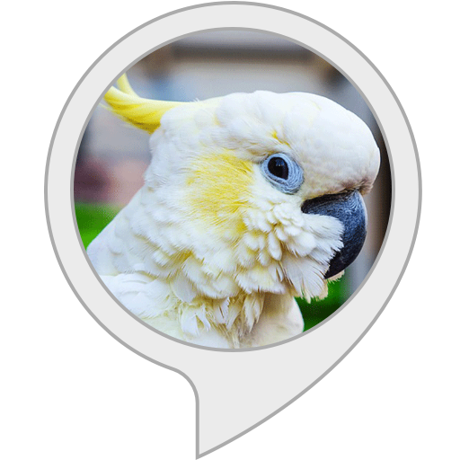 cockatoo facts Alexa Skills