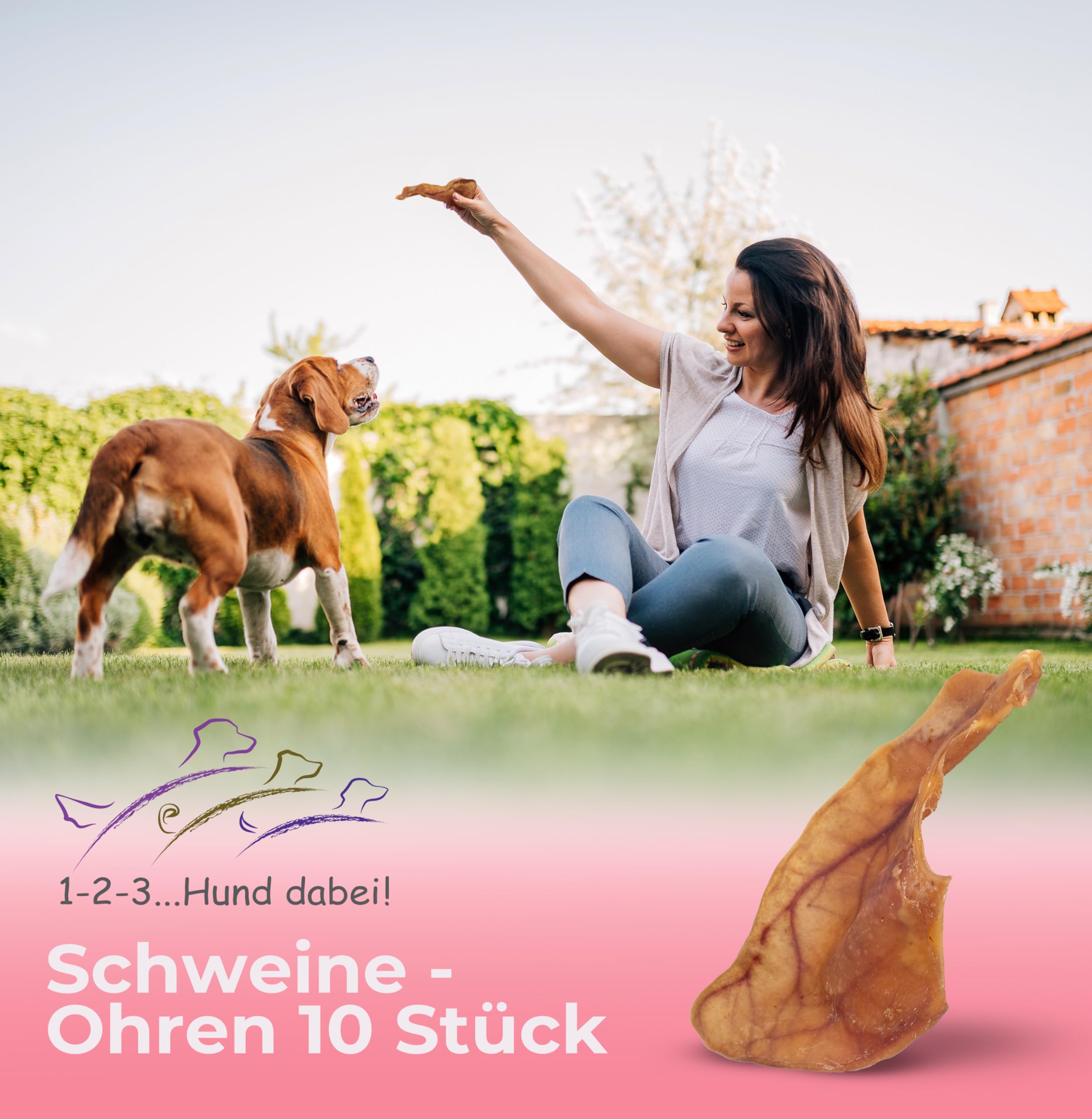 Natürliche Getrocknete Schweineohren für Hunde – 100% Reines Kauvergnügen, Schonend Luftgetrocknet, Ohne Zusatzstoffe – Idealer Hundesnack für Zahnreinigung & Beschäftigung