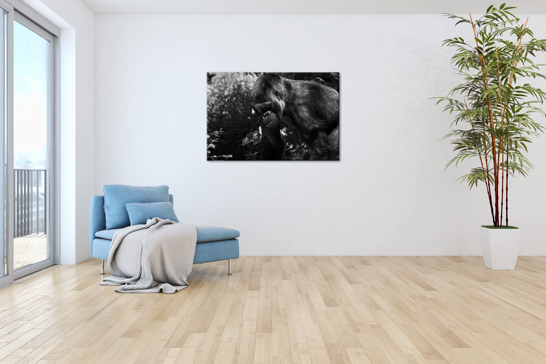 Grande formato Gorilla Formato: 120 x 80 Effetto: bianco e nero come tela su tela, motivo già incorniciato su cornice in vero legno, stampa digitale di alta qualità, senza poster o manifesto