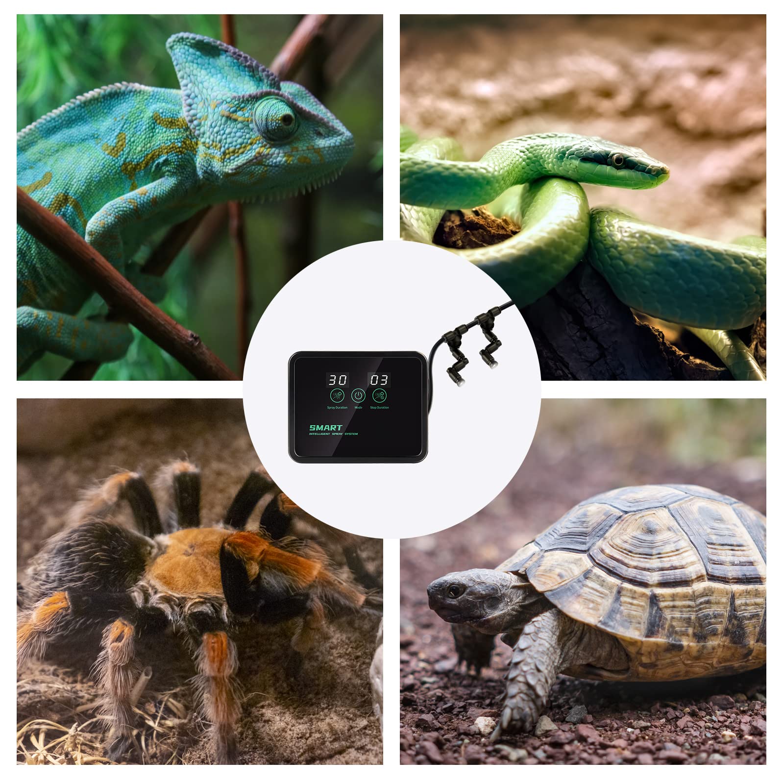 Nizirioo Humidificador Sistema de NebulizacióN del para Reptiles: Humidificador para Reptiles Humidificador Inteligente para Reptiles con Temporizador Y Boquillas De NebulizacióN Ajustables de 360°